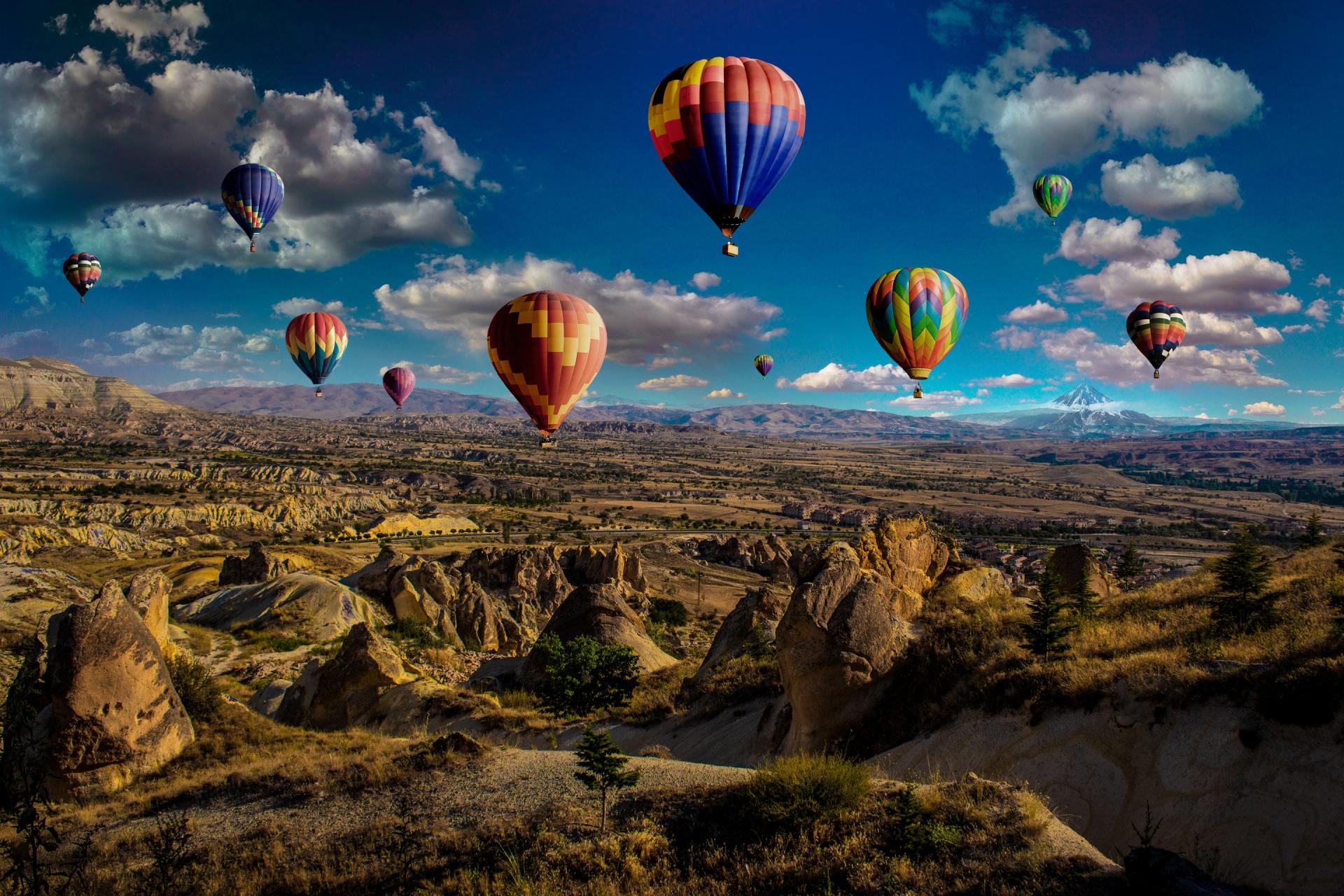 A bunch of hot air balloons are flying over a desert landscape.
