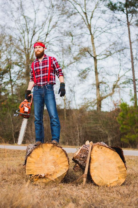 man cutting trees down