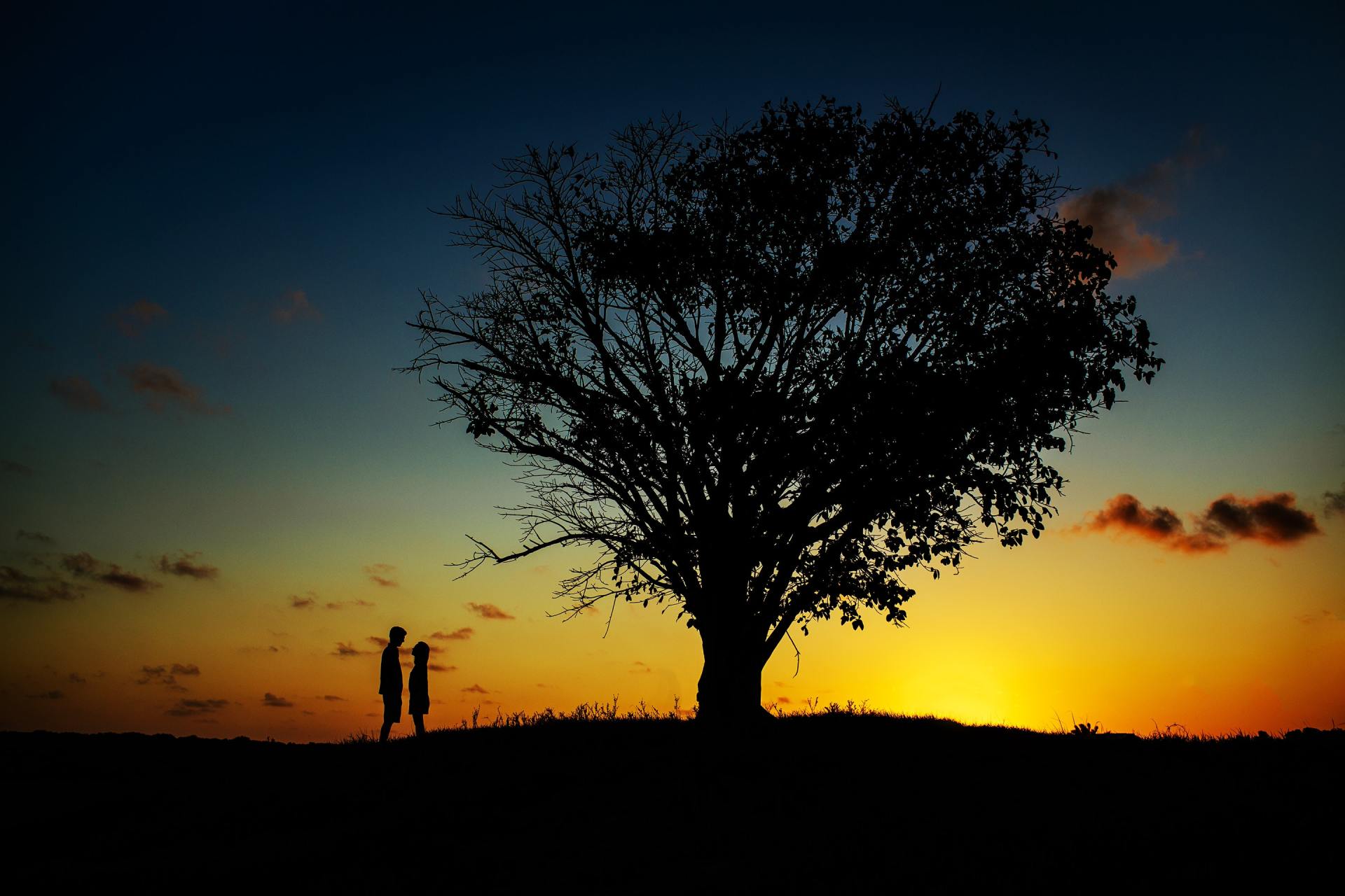 Two people standing in front of a tree at sunset