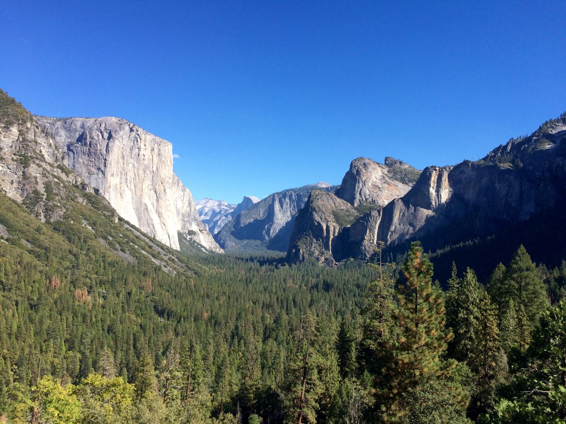 Yosemite El Capitan California Vacation Planner