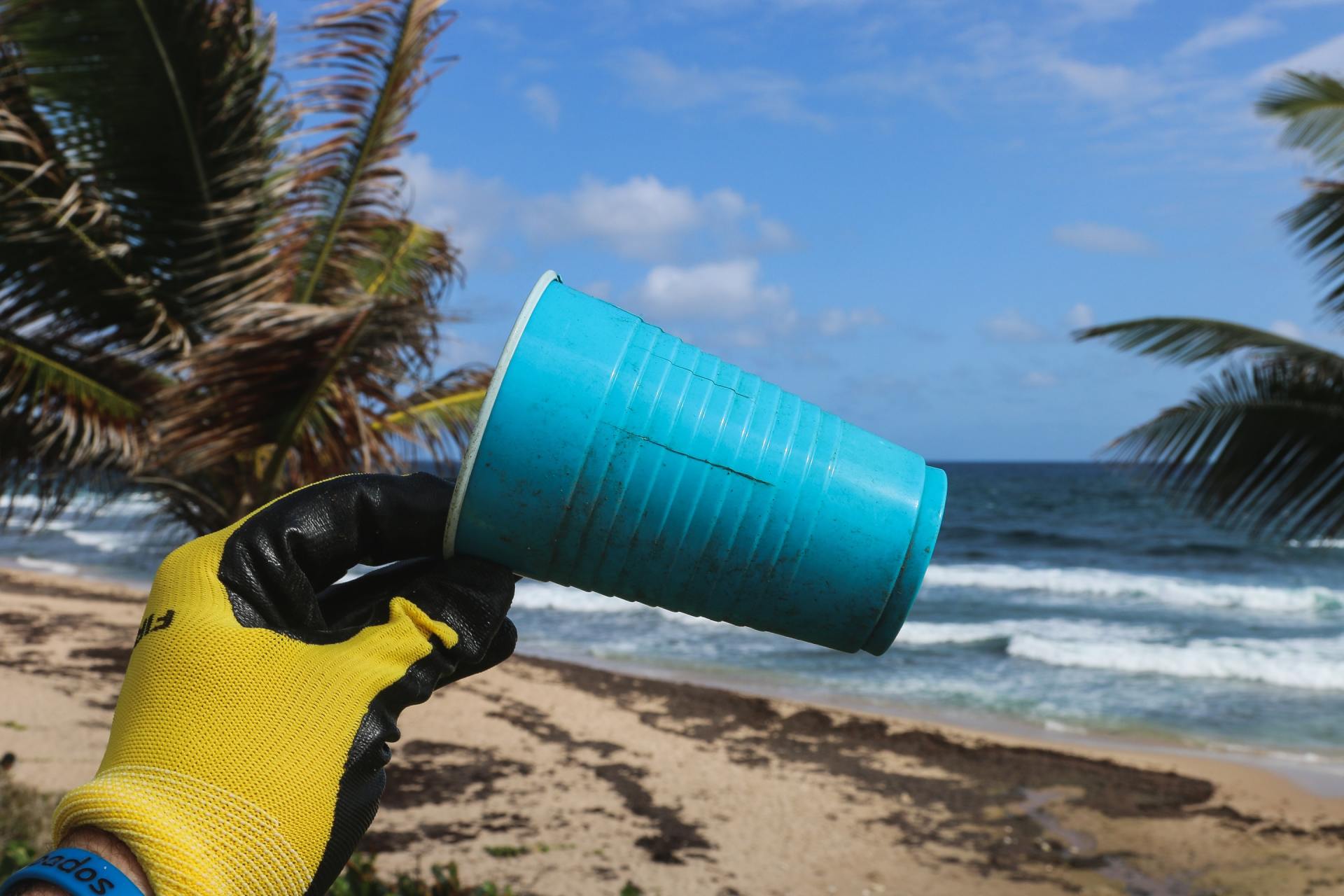 A person is holding a blue plastic cup on the beach.