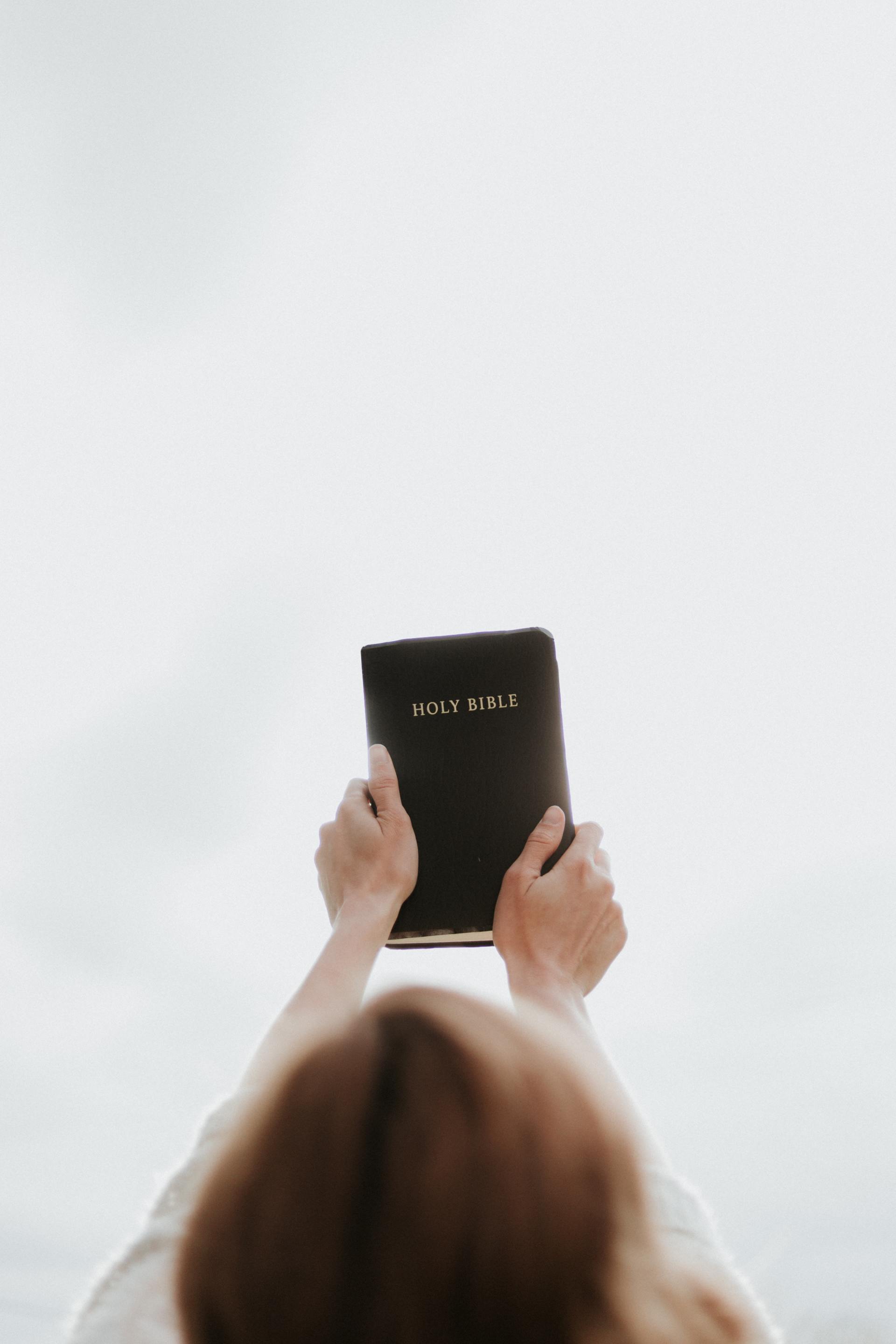 Person holding a black book up against a white sky.