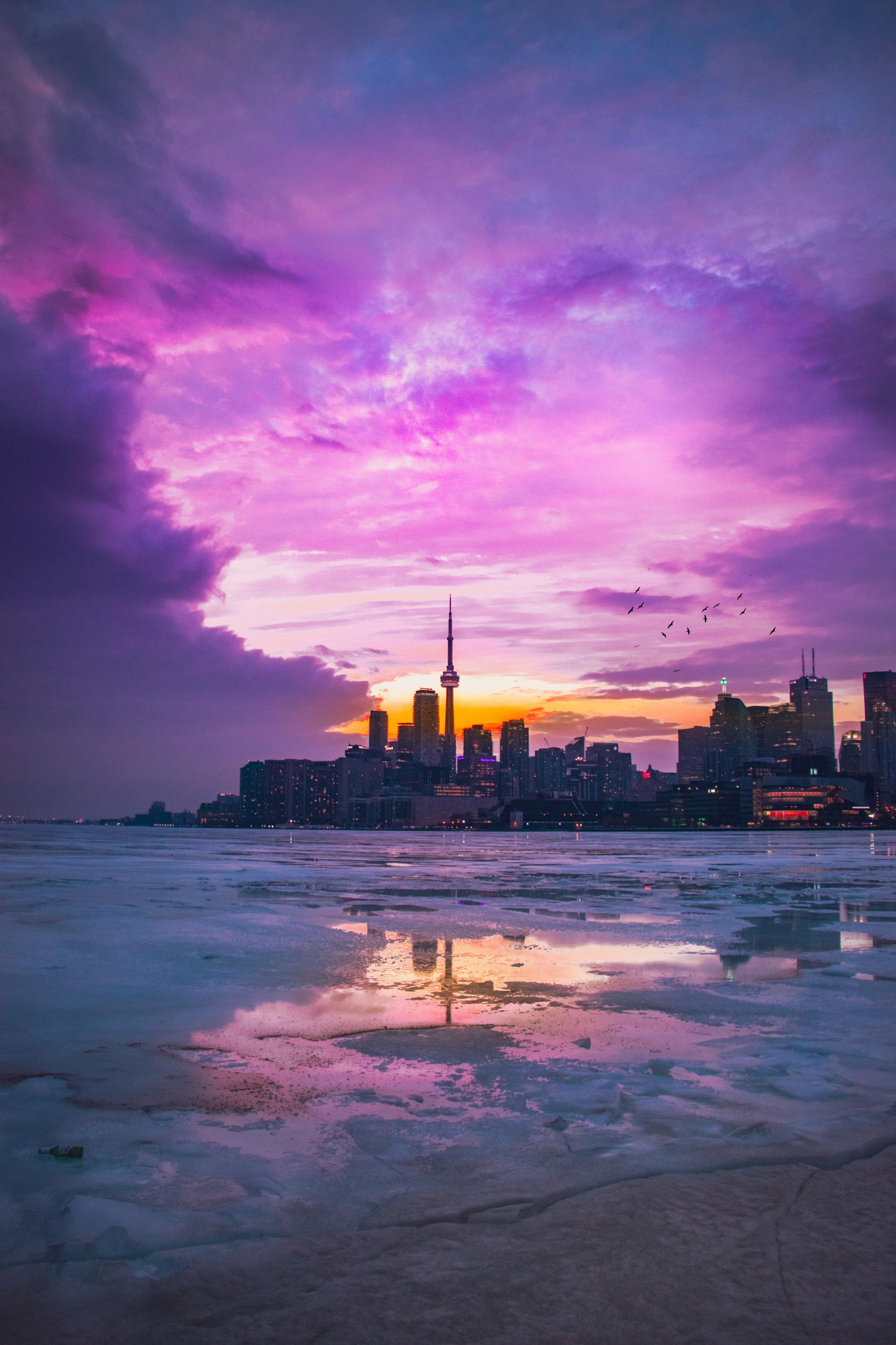 DrainWorks Plumbing Toronto Plumbers Toronto Skyline Purple