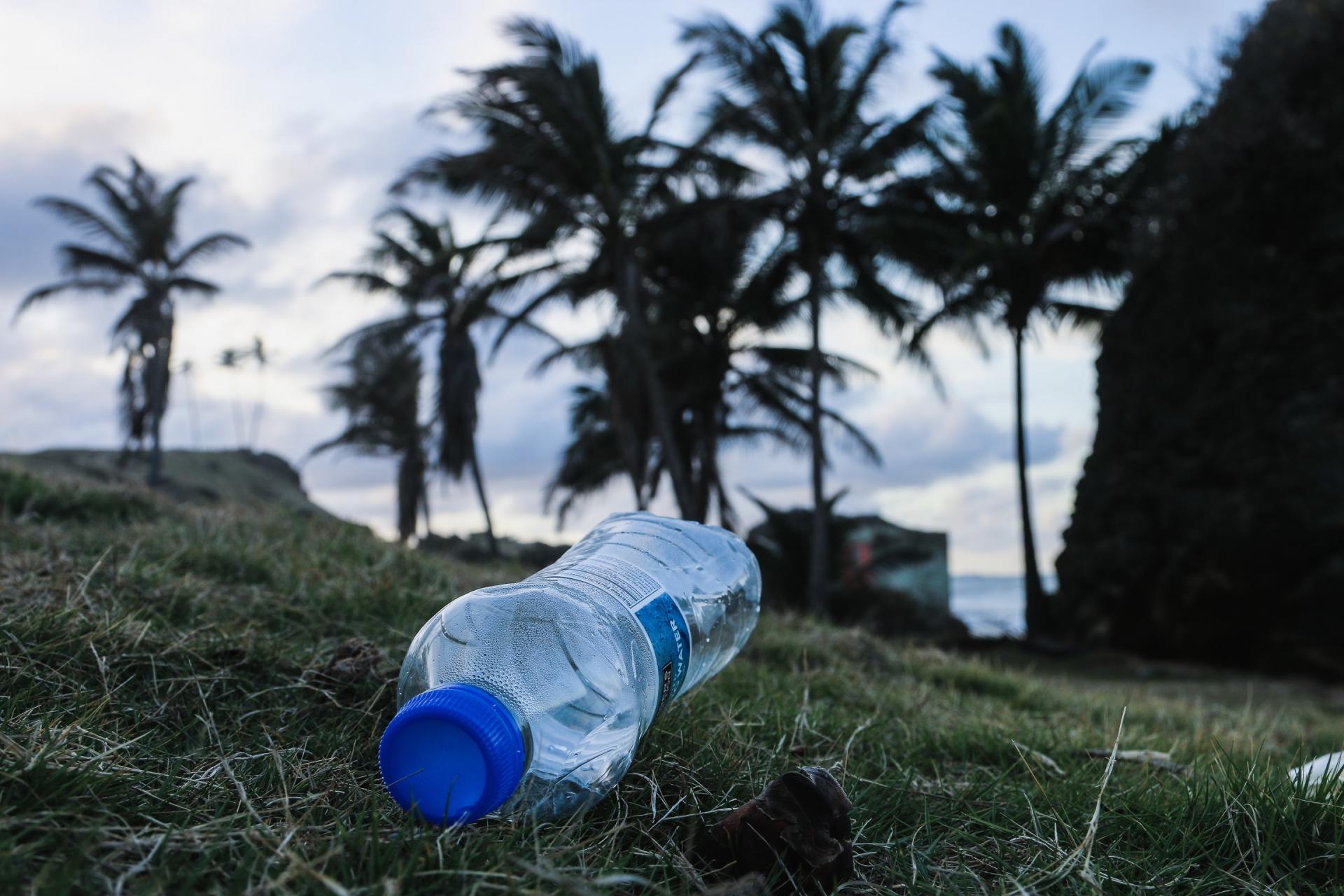beeld van blauwe plastic waterfles op voorgrond. op achtergrond uitzicht op palmbomen en bewolkte lucht