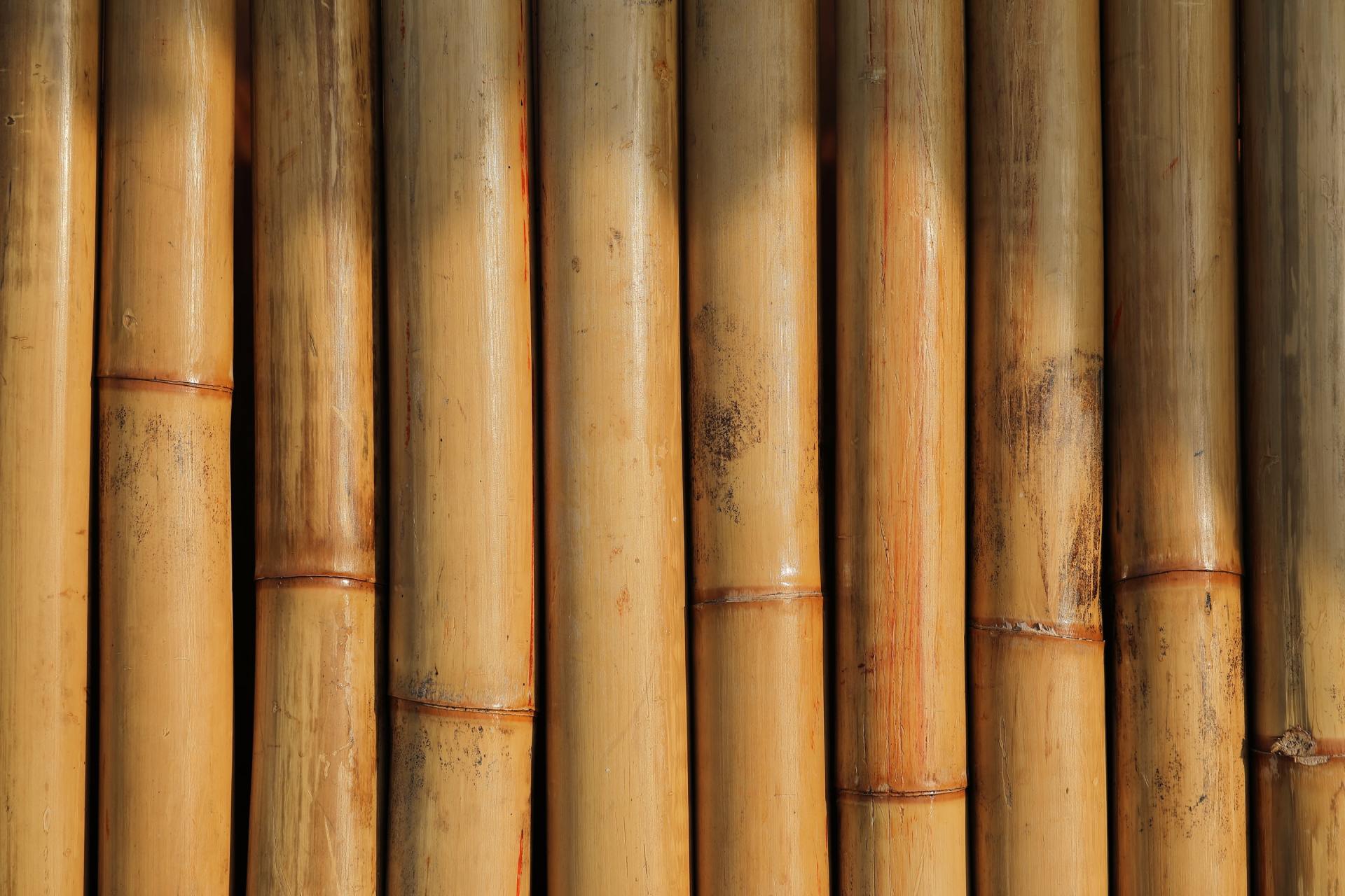 estrutura-de-bambu