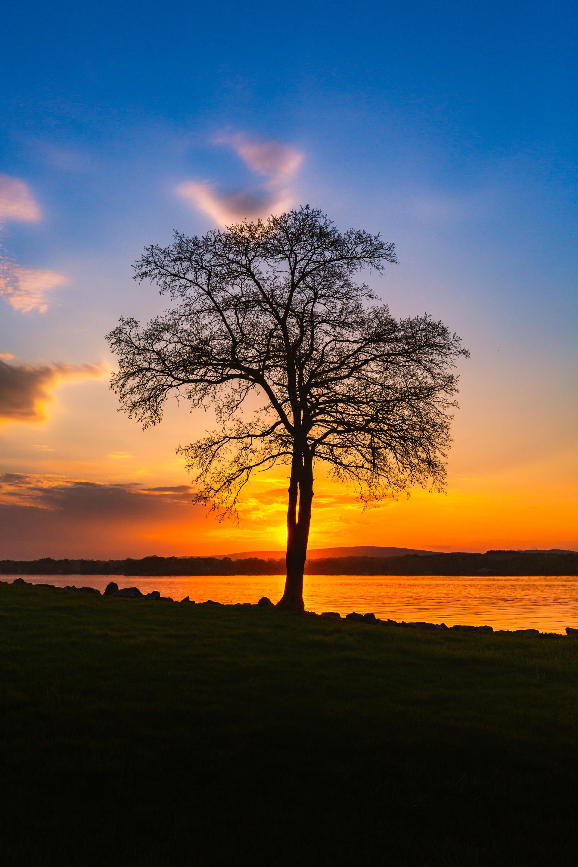 Swedberg Taylor Funeral Home Obituaries - wb94dd6