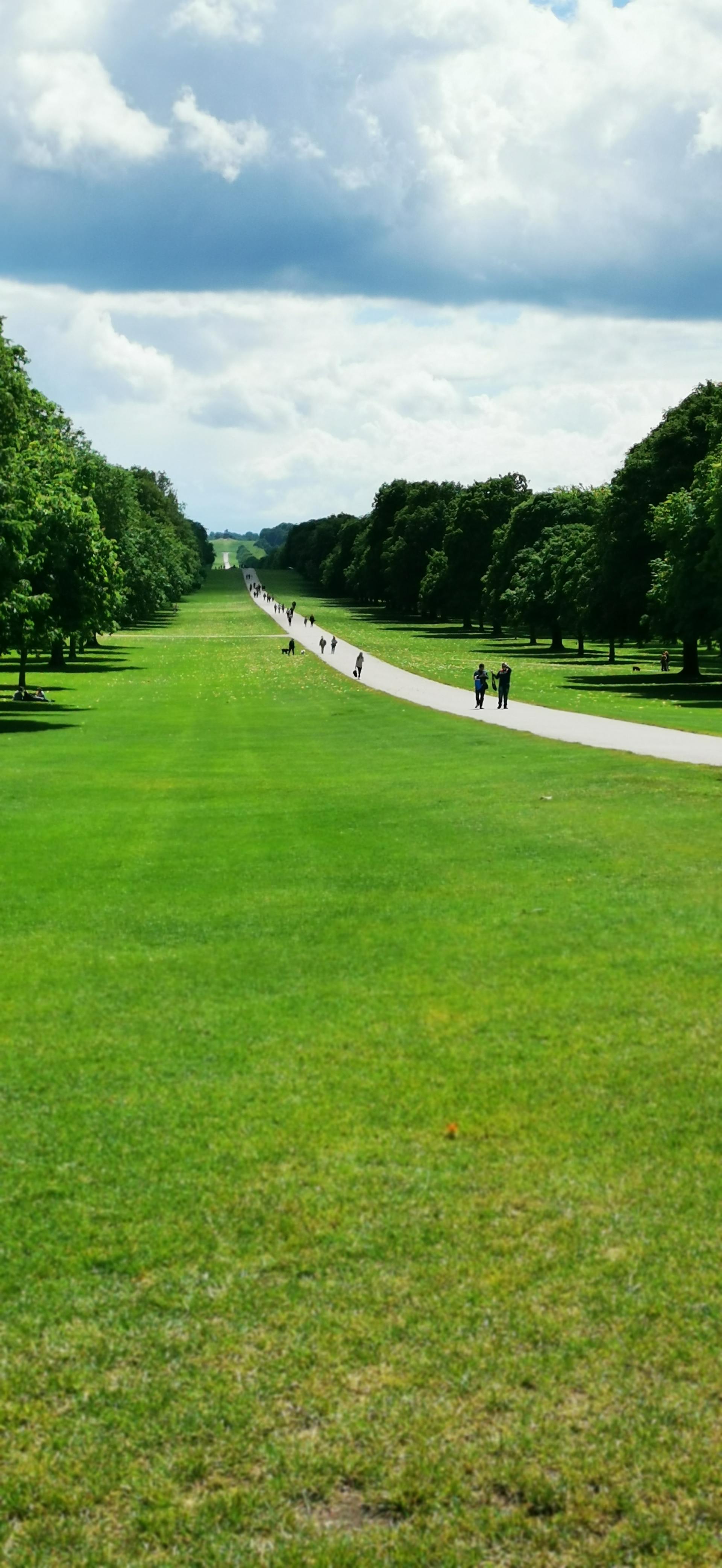 Large grass area with footpath