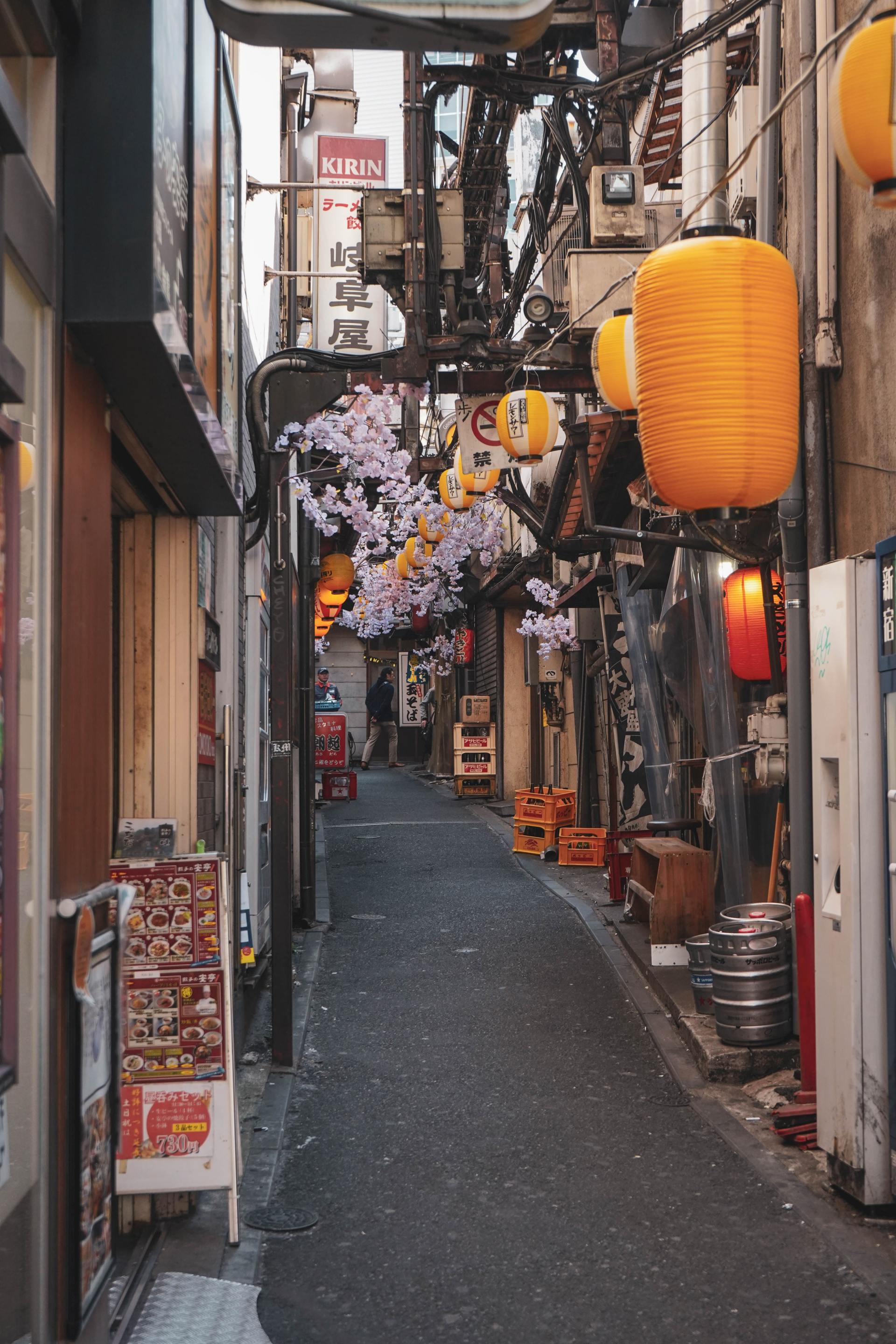 5 choses à savoir avant de partir au Japon les rues