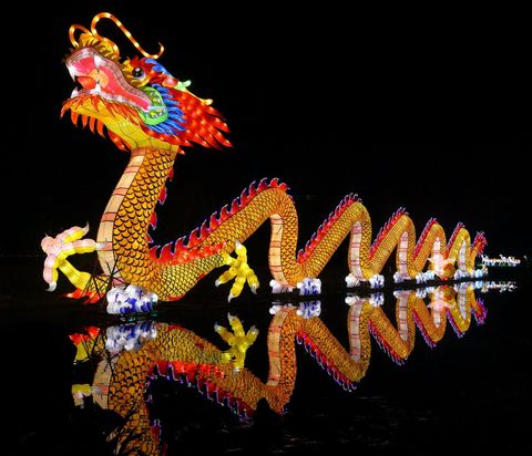 Colorful long dragon showing humor and joy of everyday