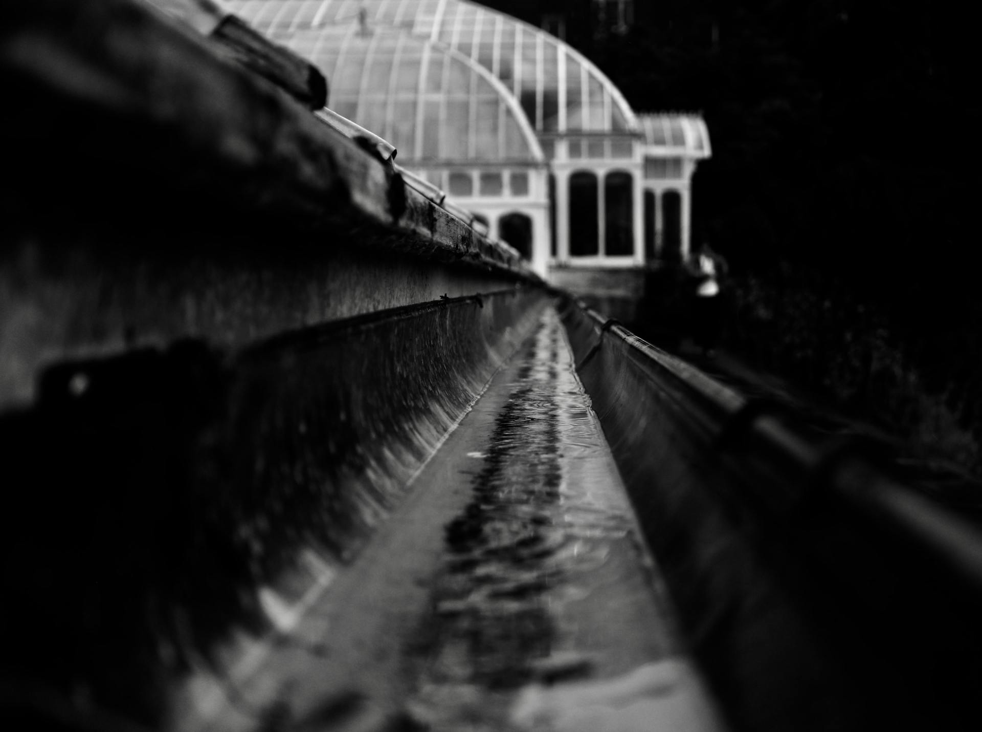 Gutter cleaning service