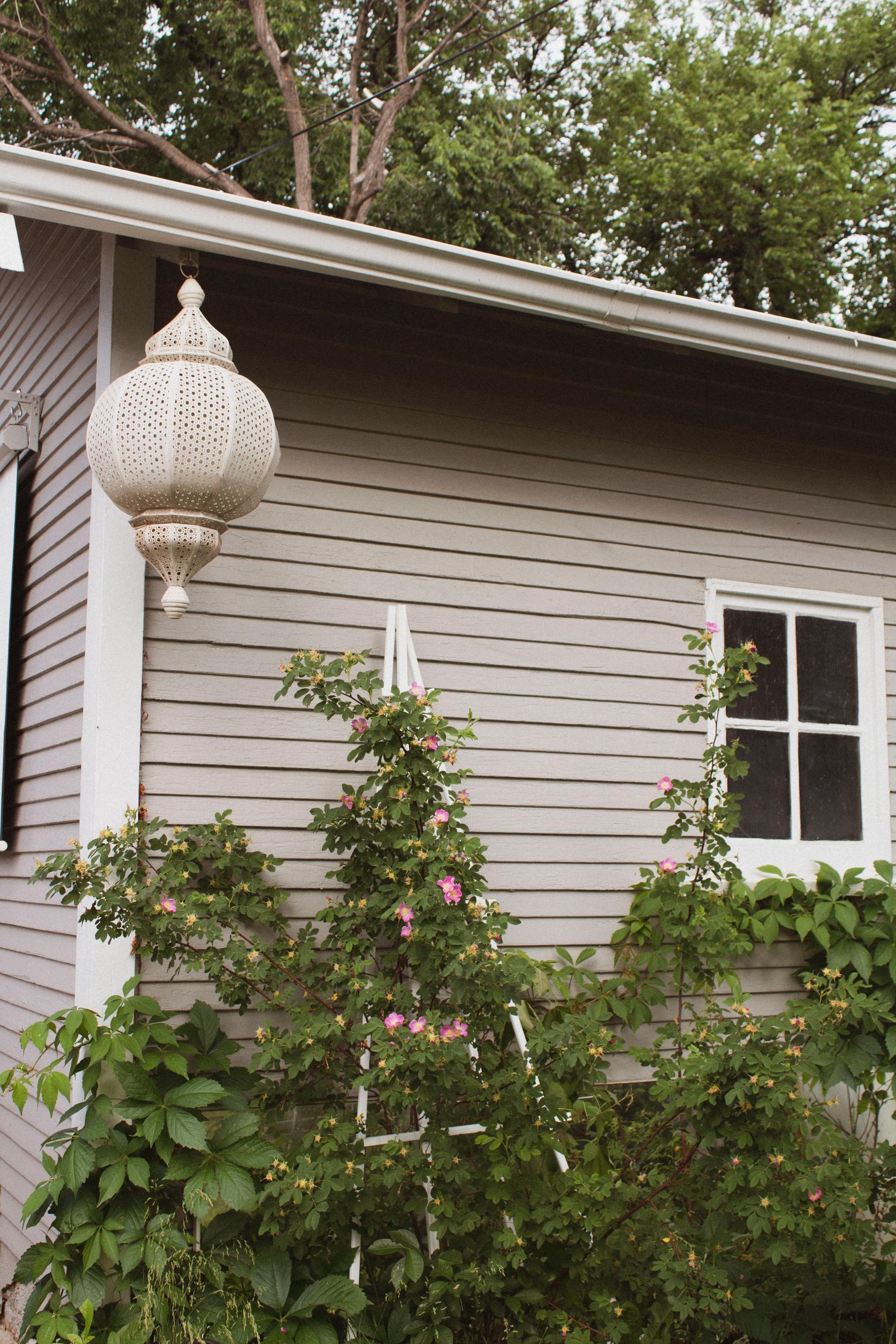 A light-colored house exterior with light purple siding, a white lantern hanging from the roof, and a blooming rose bush.