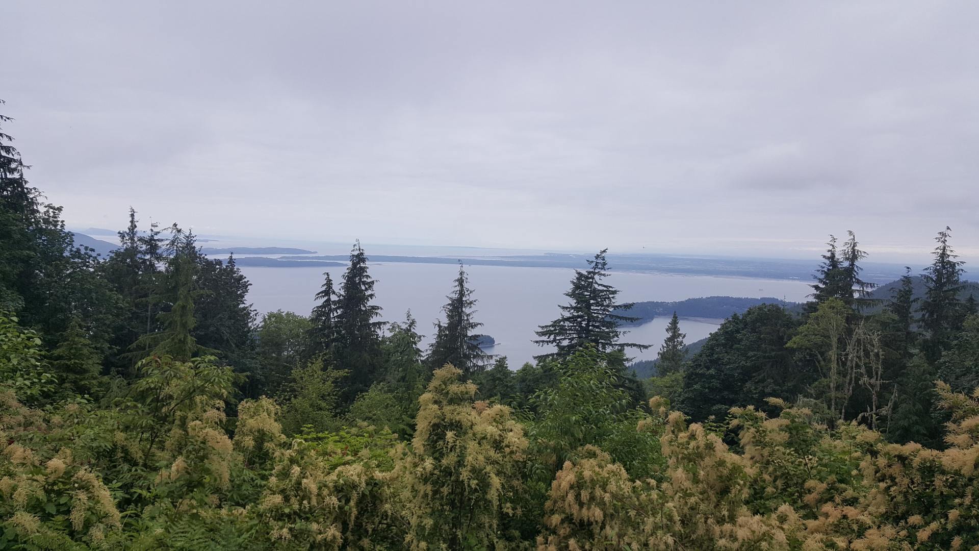 Bellingham, Washington view