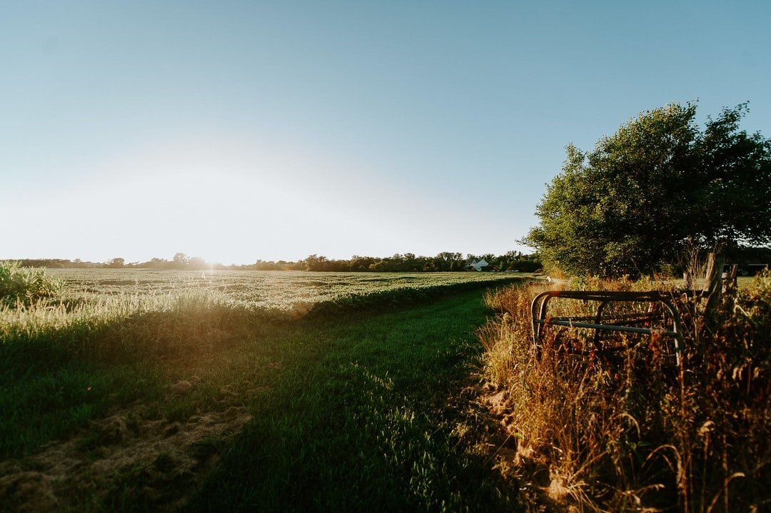 Peaceful field in Pataskala, Ohio on outskirts of Columbus