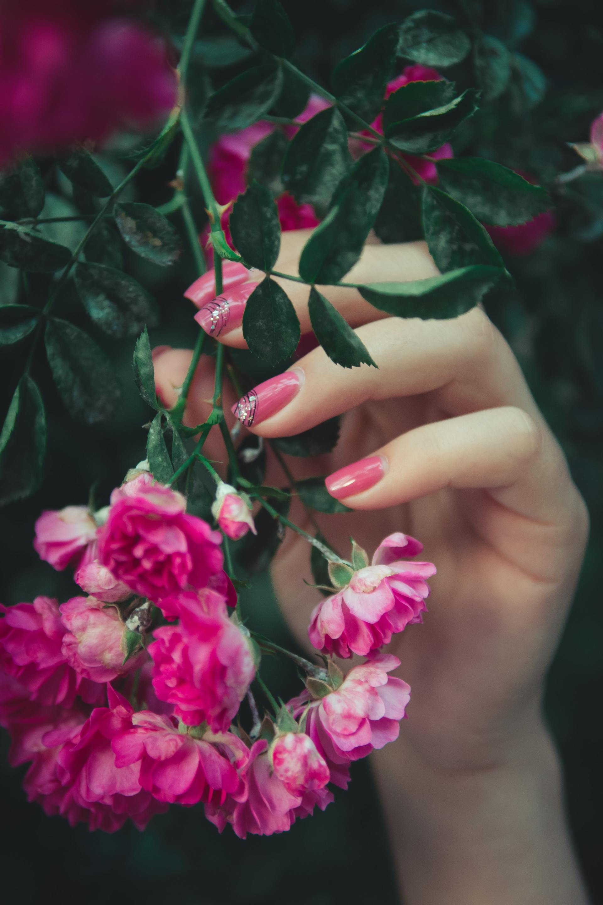 My's Nails & Spa - Nail Salon and Beauty Spa in Naas, Co. Kildare My's Nails & Spa - Nail Salon and Beauty Spa in Naas, Co. Kildare