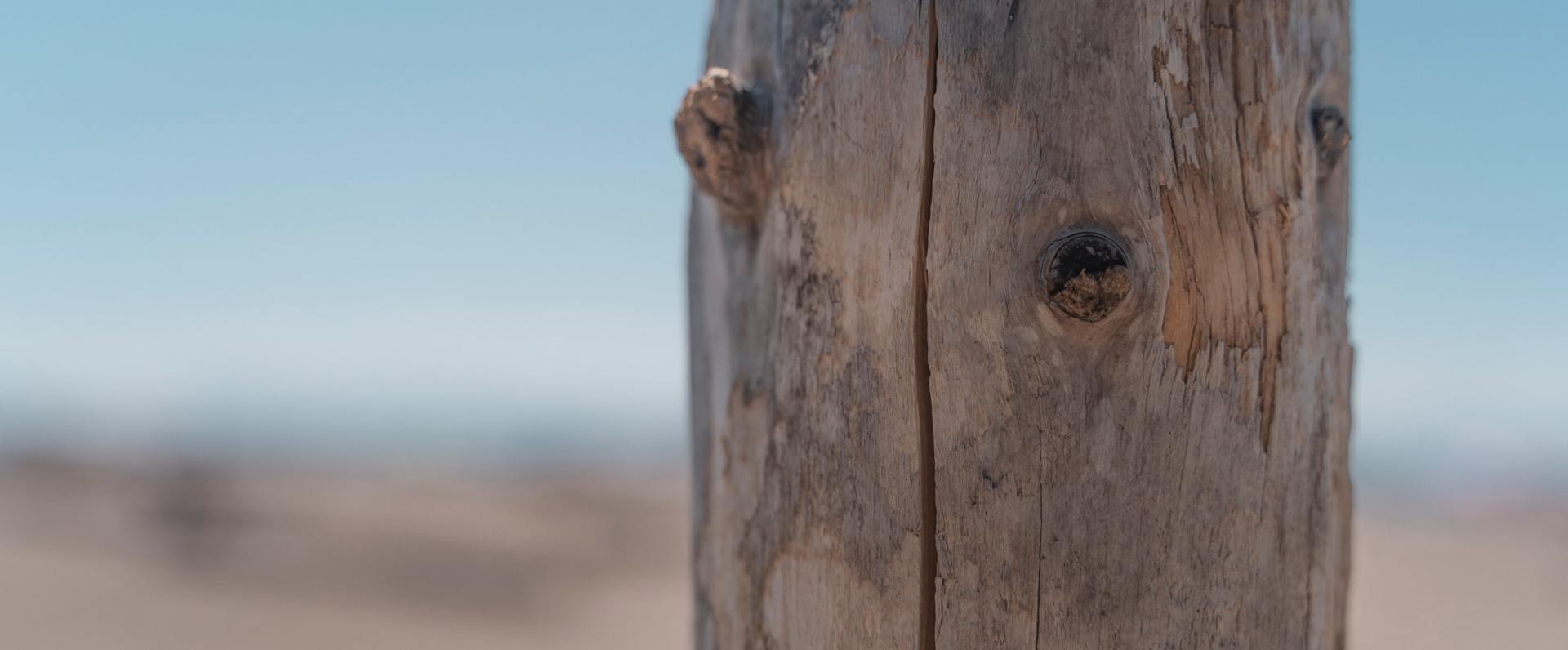 A close up of a wooden pole on a beach with a blue sky in the background.