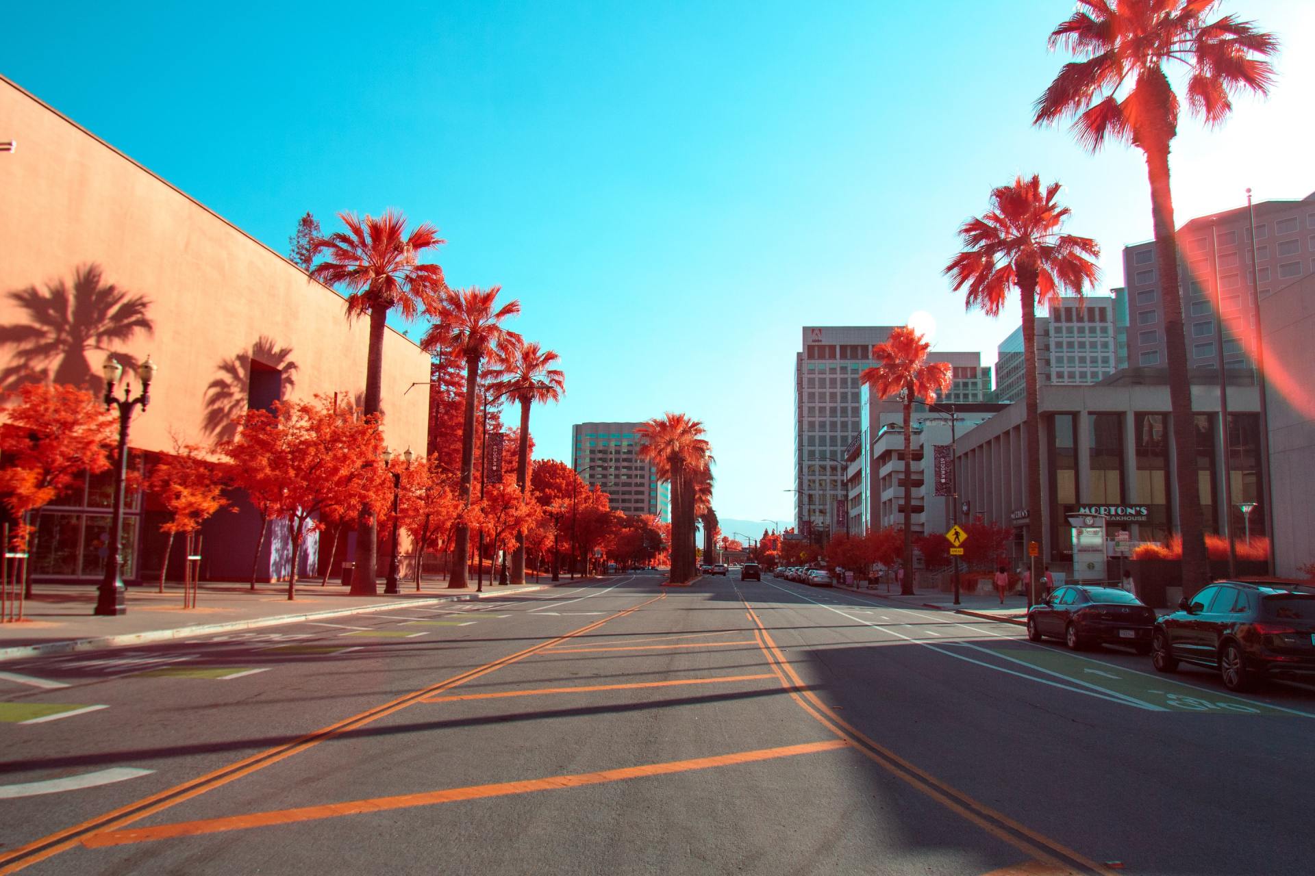 A city street with palm trees and buildings on a sunny day.