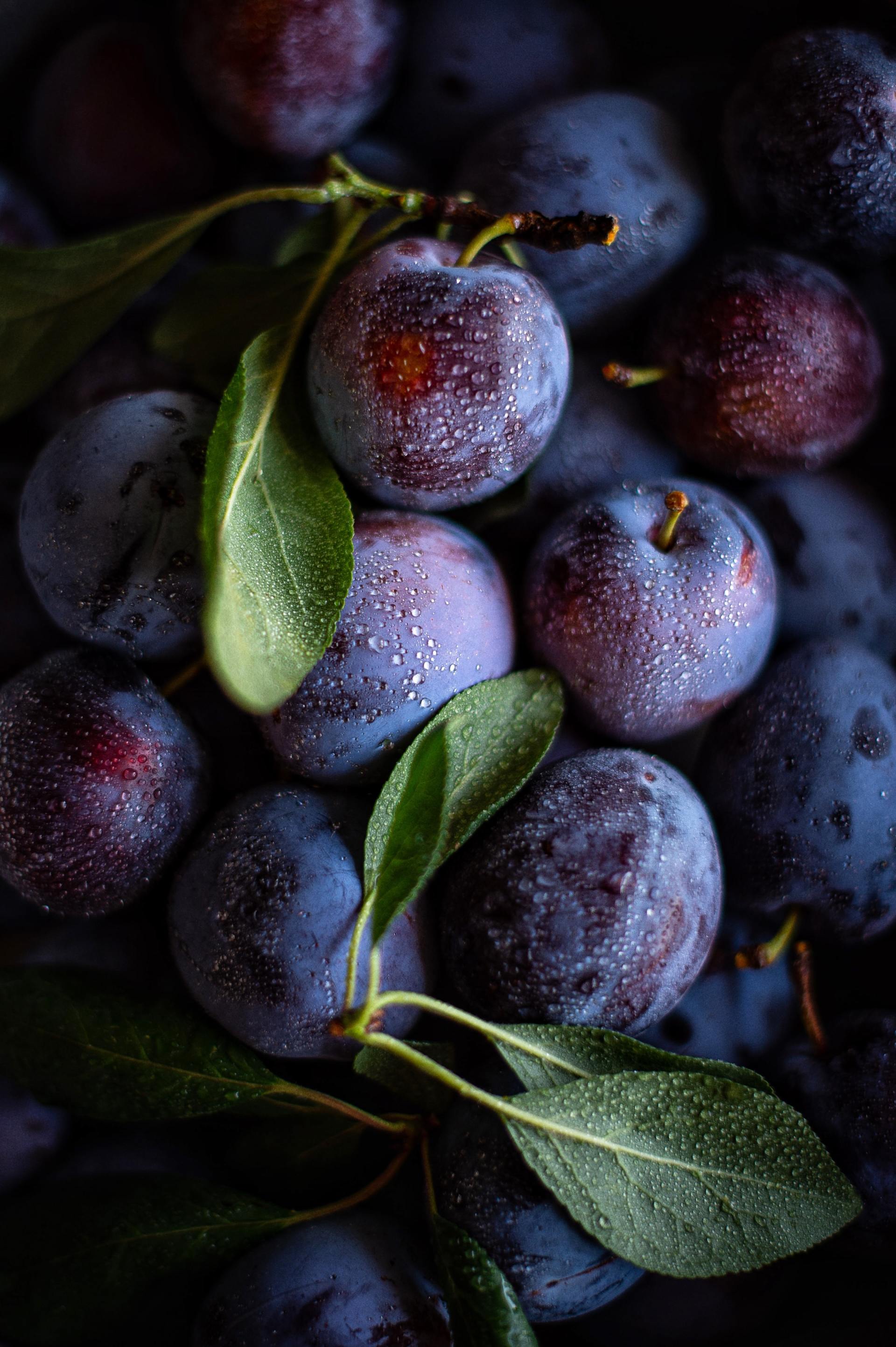 High FODMAP Diet: Plum