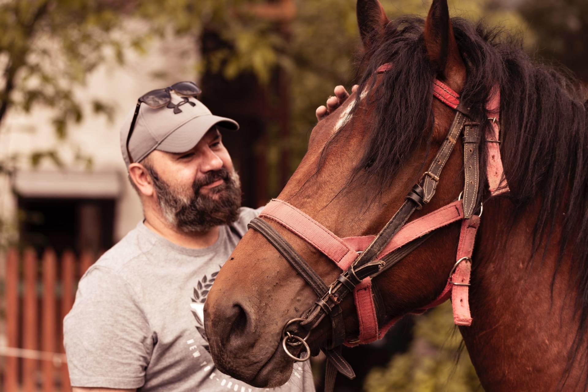 man tending to a horse