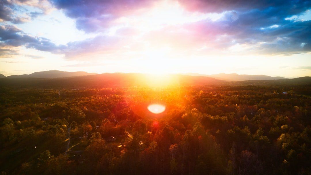 The sun is shining brightly over a forest at sunset.