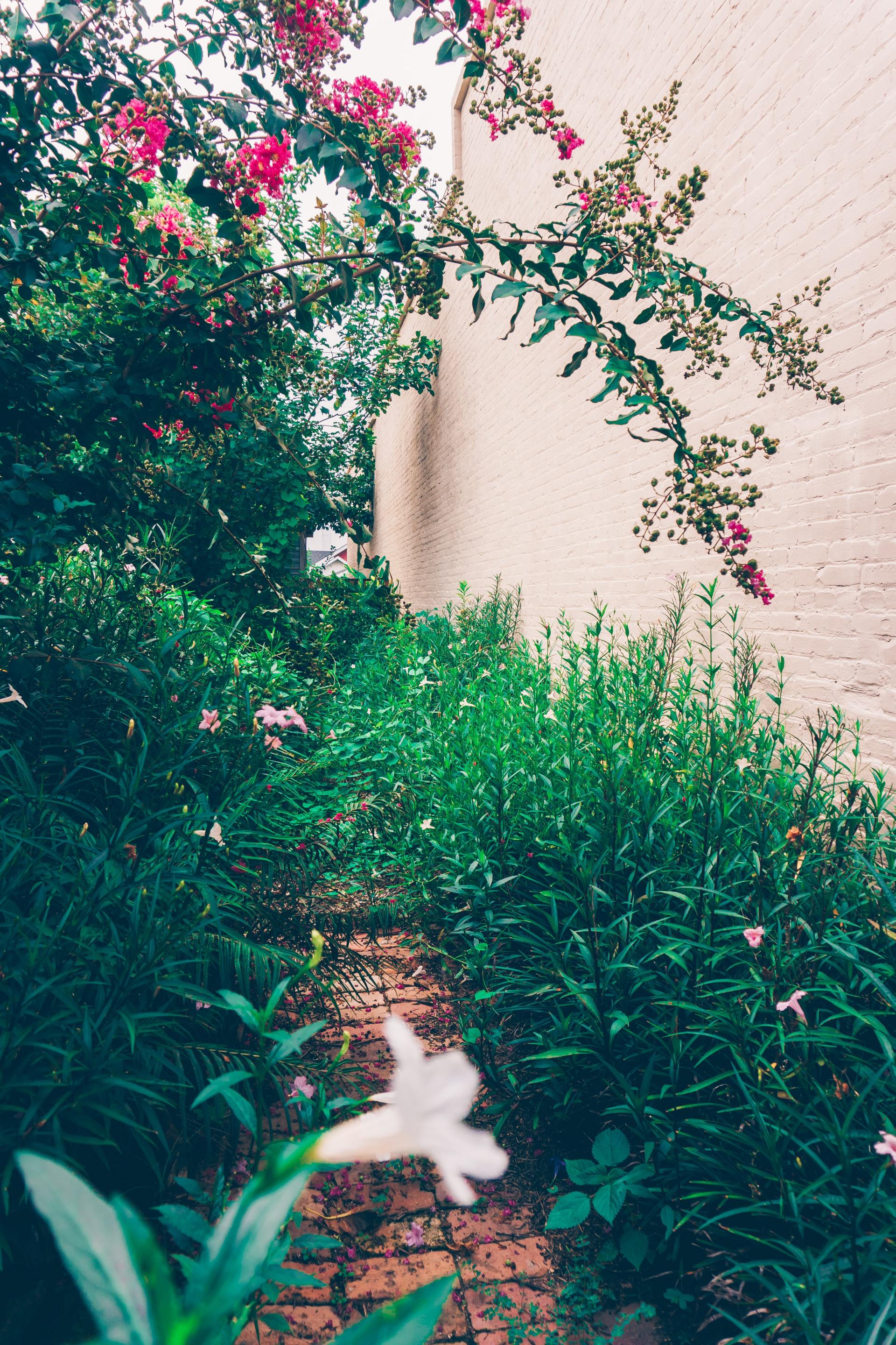 A brick walkway surrounded by flowers and bushes in a garden