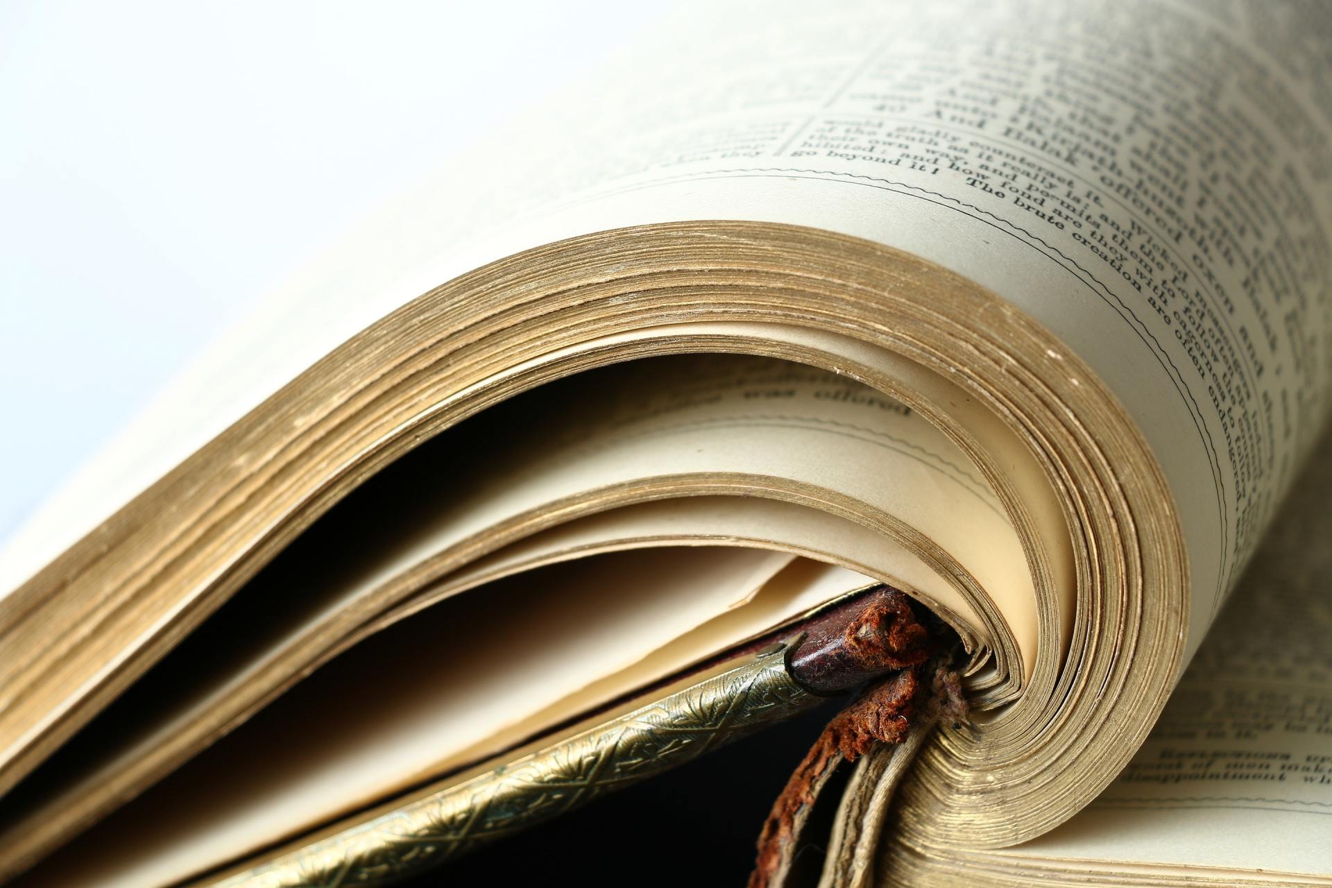 Open book with gold-edged pages; curled pages reveal a bookmark, close-up.