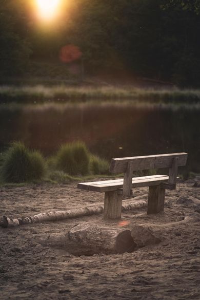 bench outdoors wilderness with setting sun