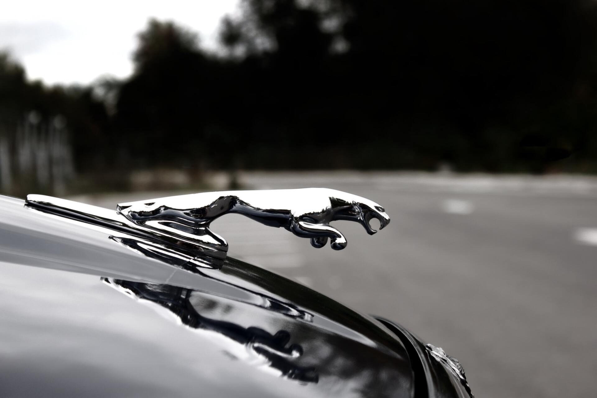 Jaguar hood ornament close up