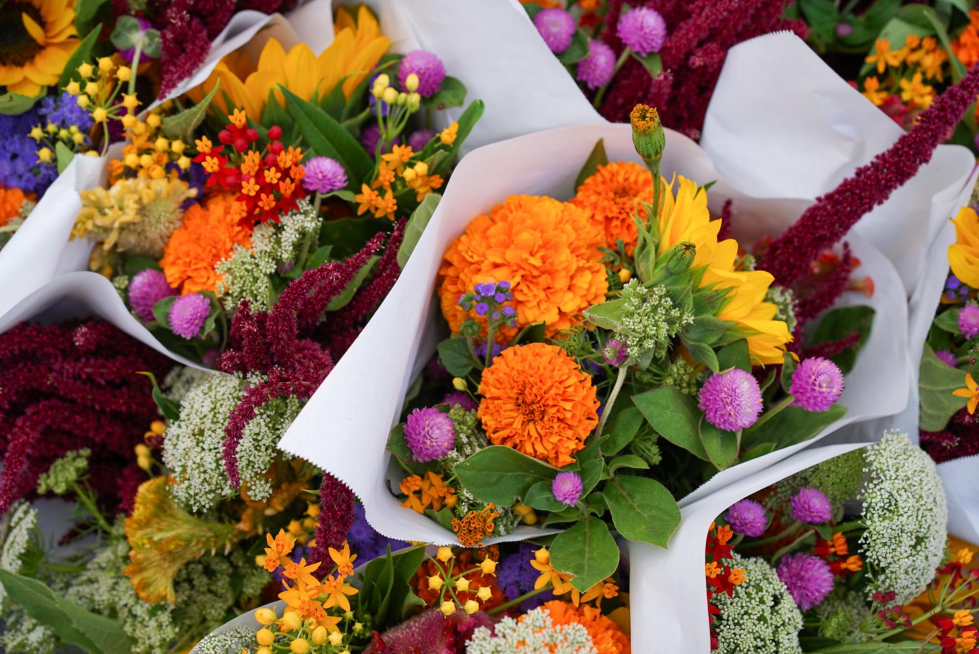 Flower Shop Near Me Perfect Mother's Day Blooms