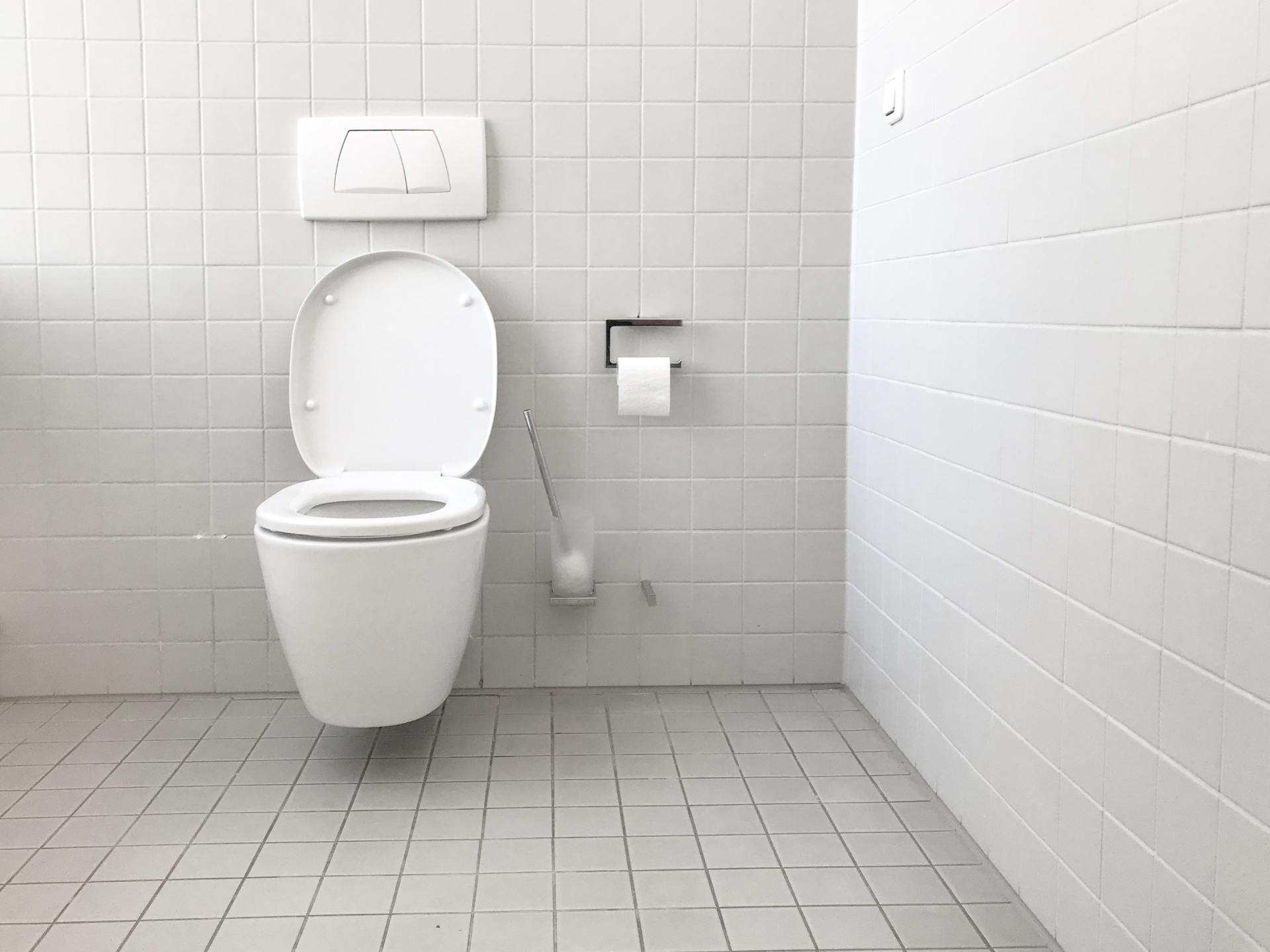 toilet | Bluey's Plumbing & Gasfitting