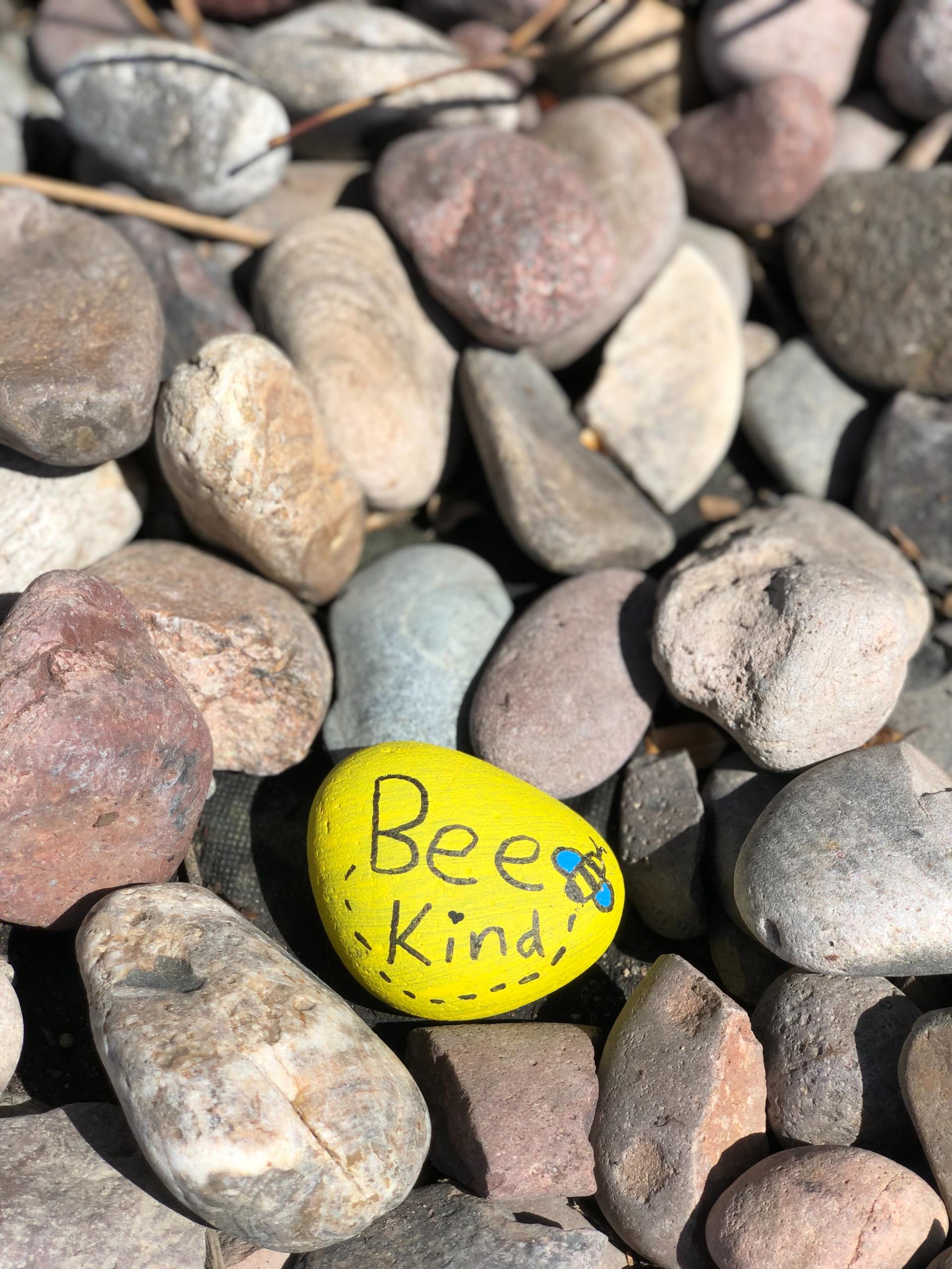 rock painted yellow saying 'Bee Kind'