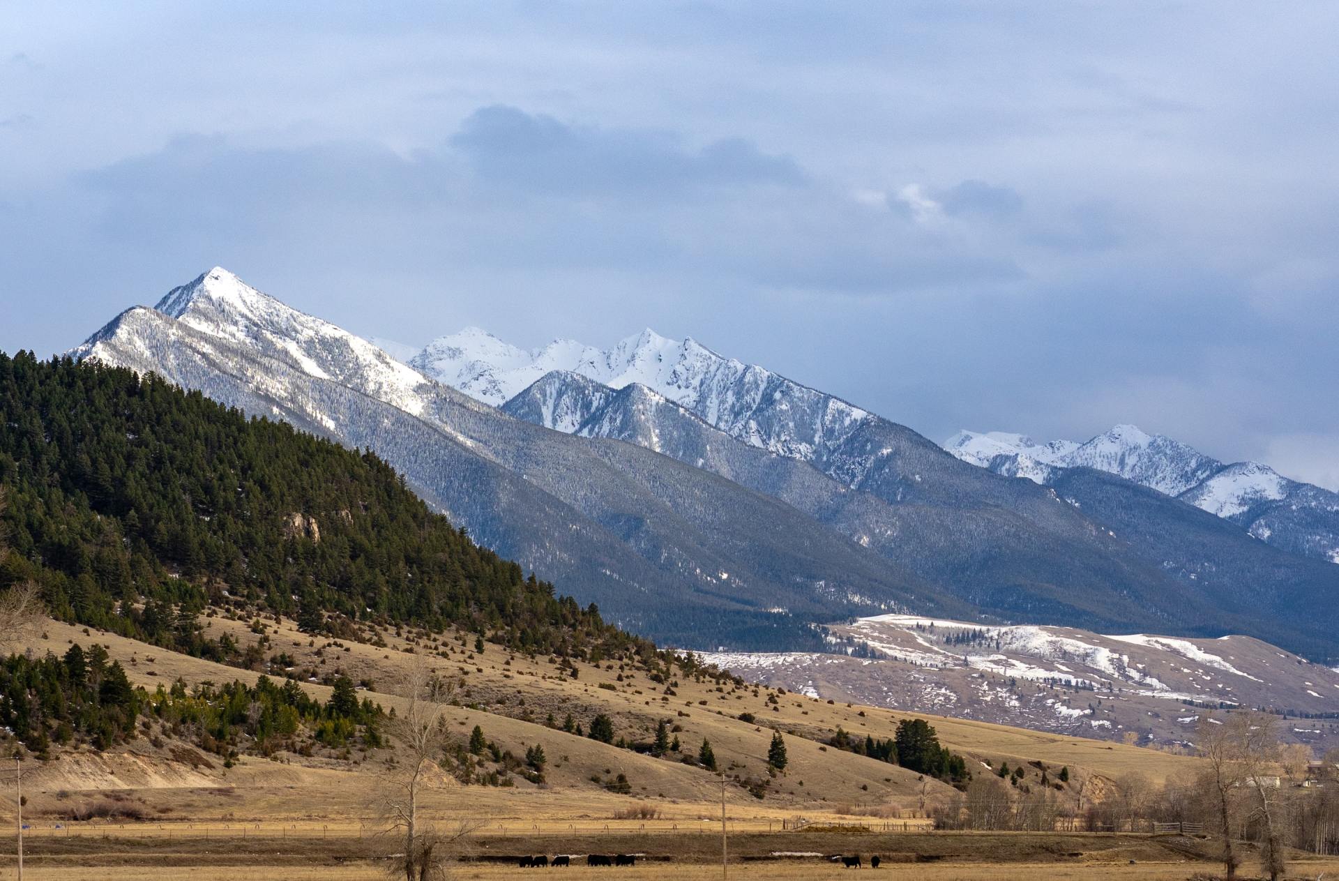 Montana landscape image