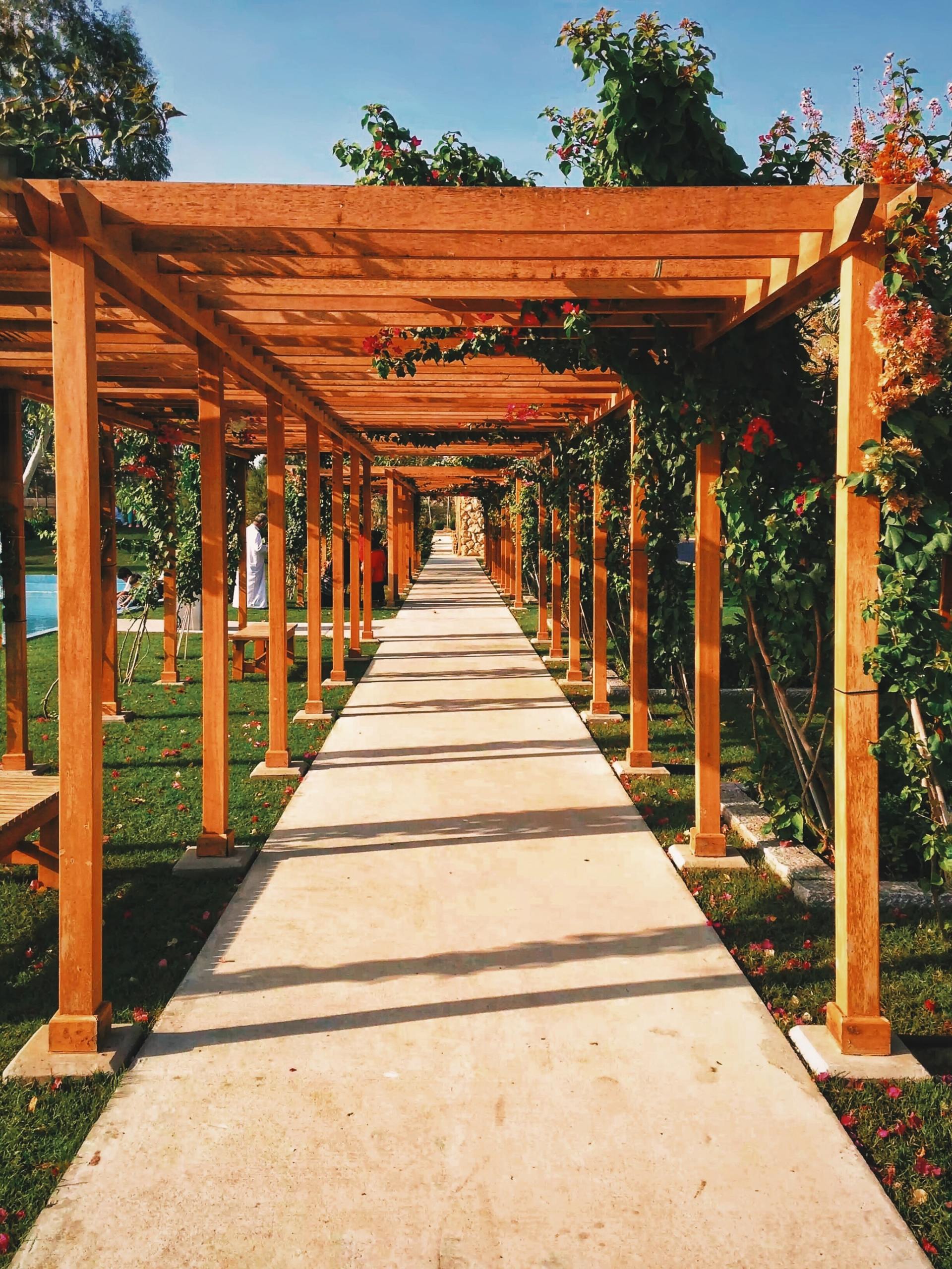 Pergola along a pavement of slabs