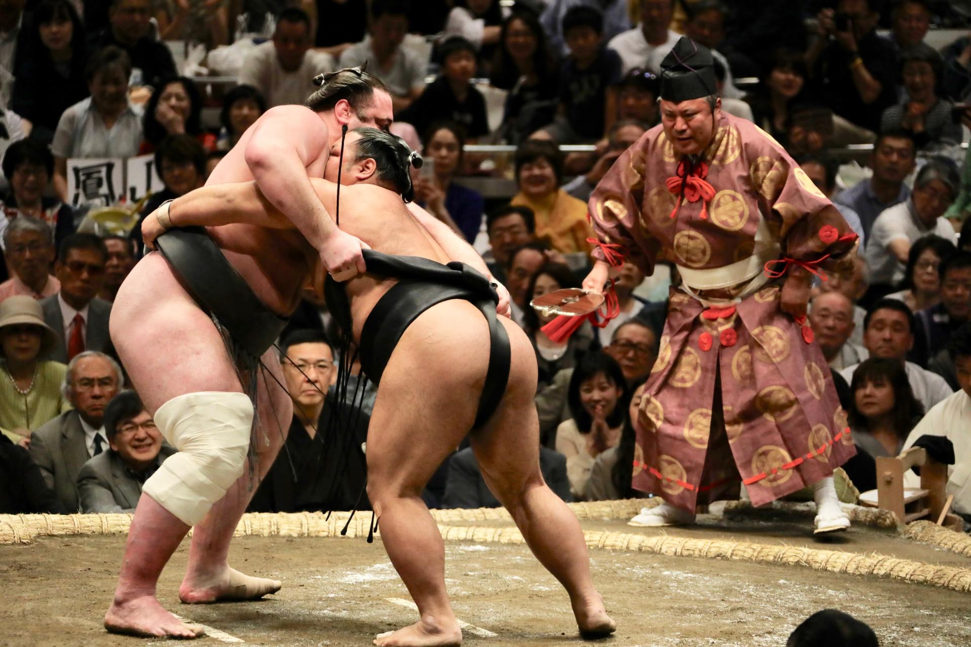 Sumo, sport national Japon