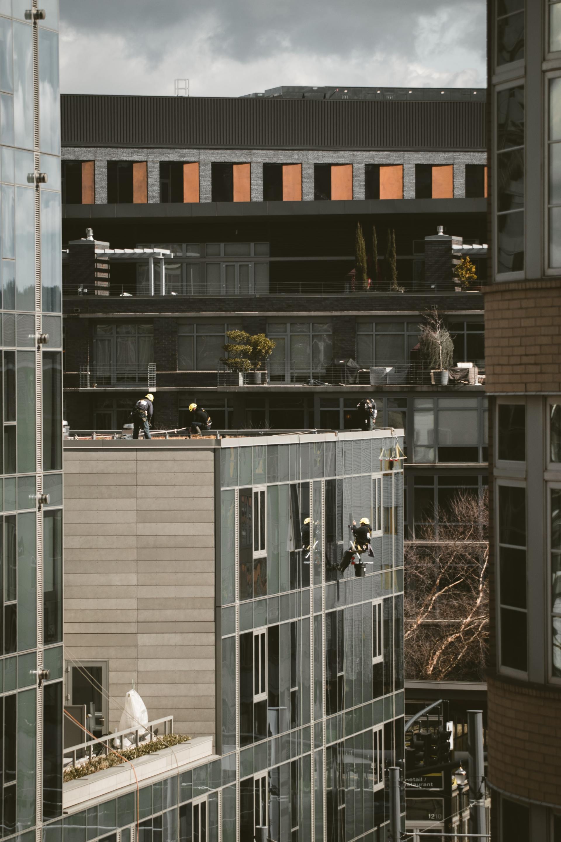A group of people are cleaning the cladding of a building