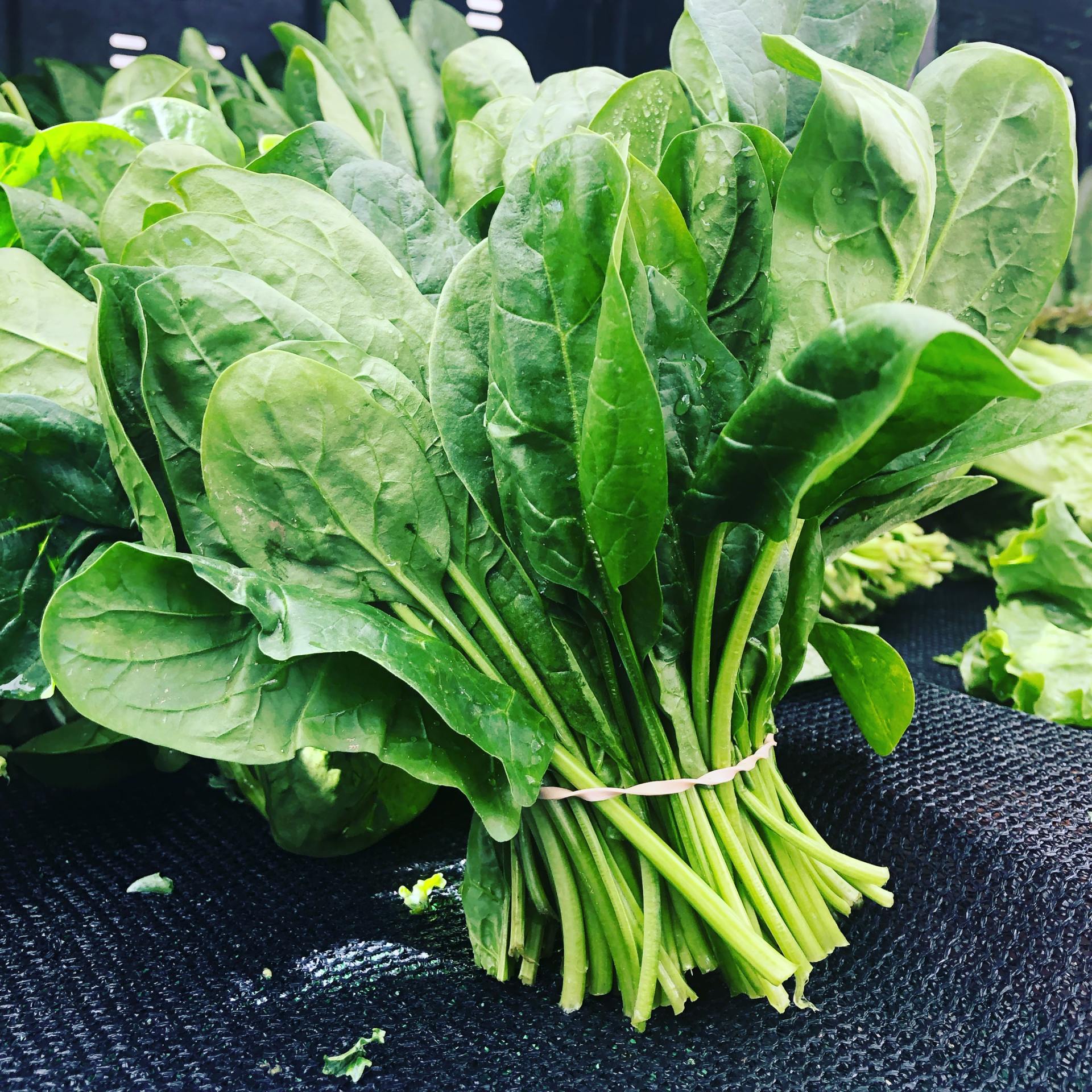 Low FODMAP Diet: Spinach