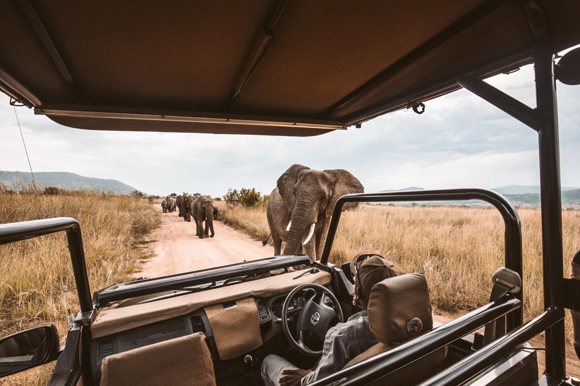 Safari 4x4 vehicle with view of the bush and a heard of elephant approaching