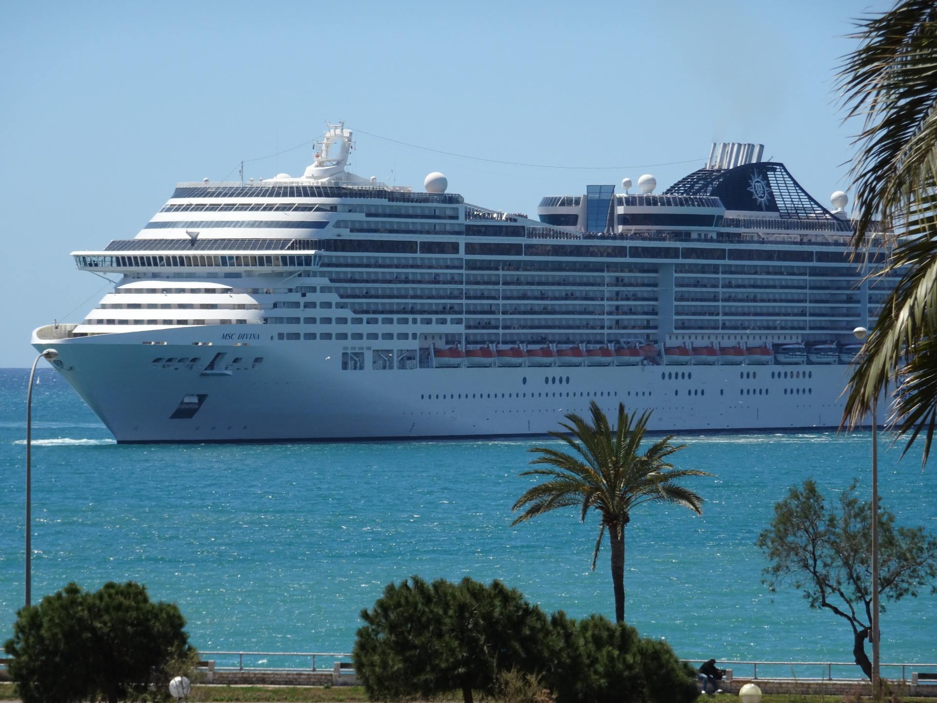 large cruise ship near land with palm trees
