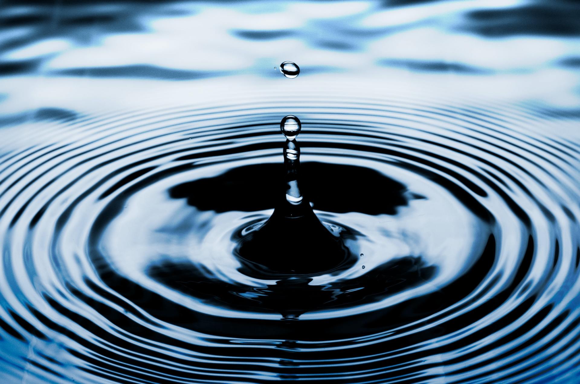 The Ripple Effect in Business