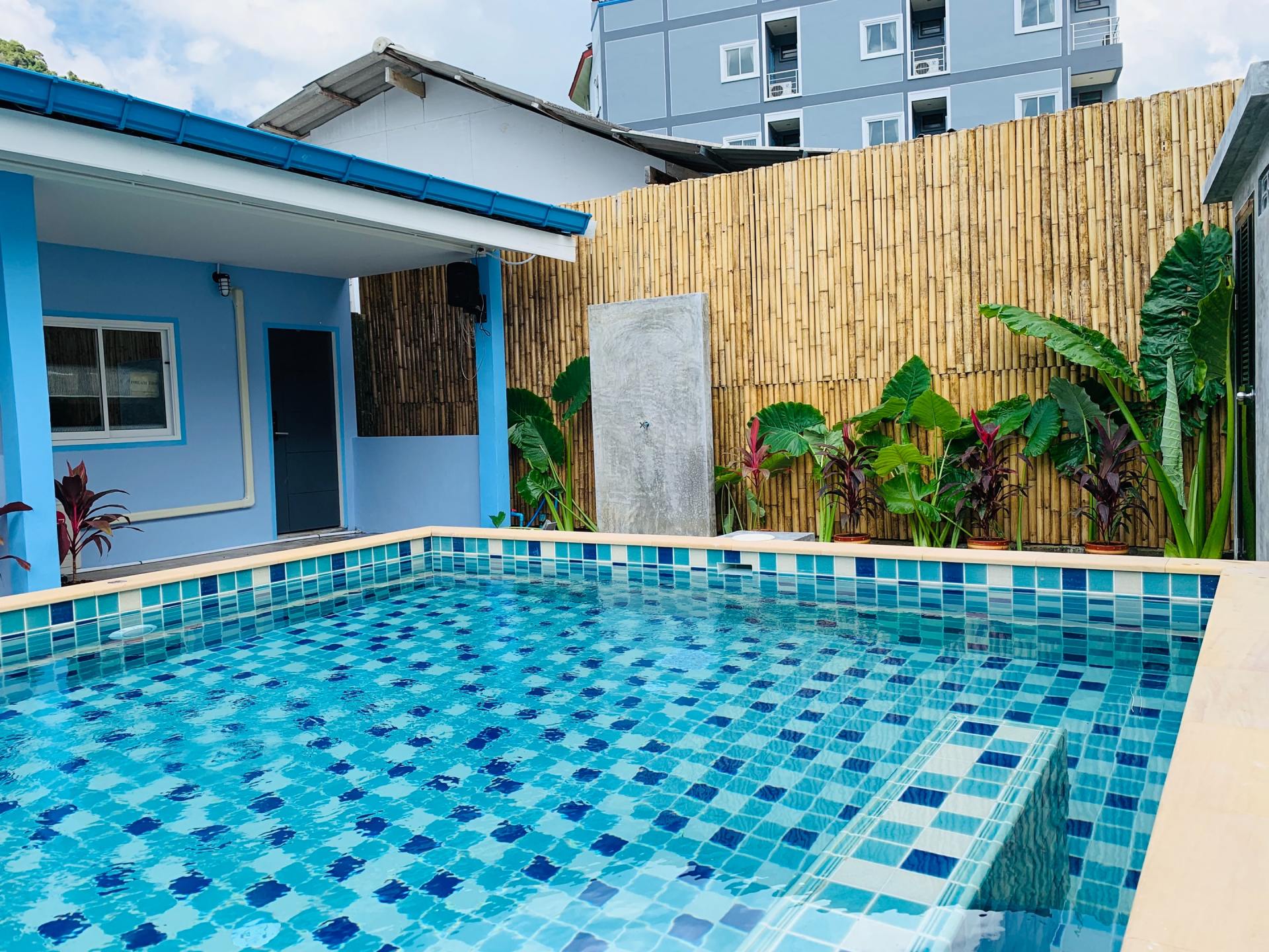 A blue tiled swimming pool is surrounded by a bamboo fence with leafy plants edging the ground. A blue house sits to the side of the clear blue water.