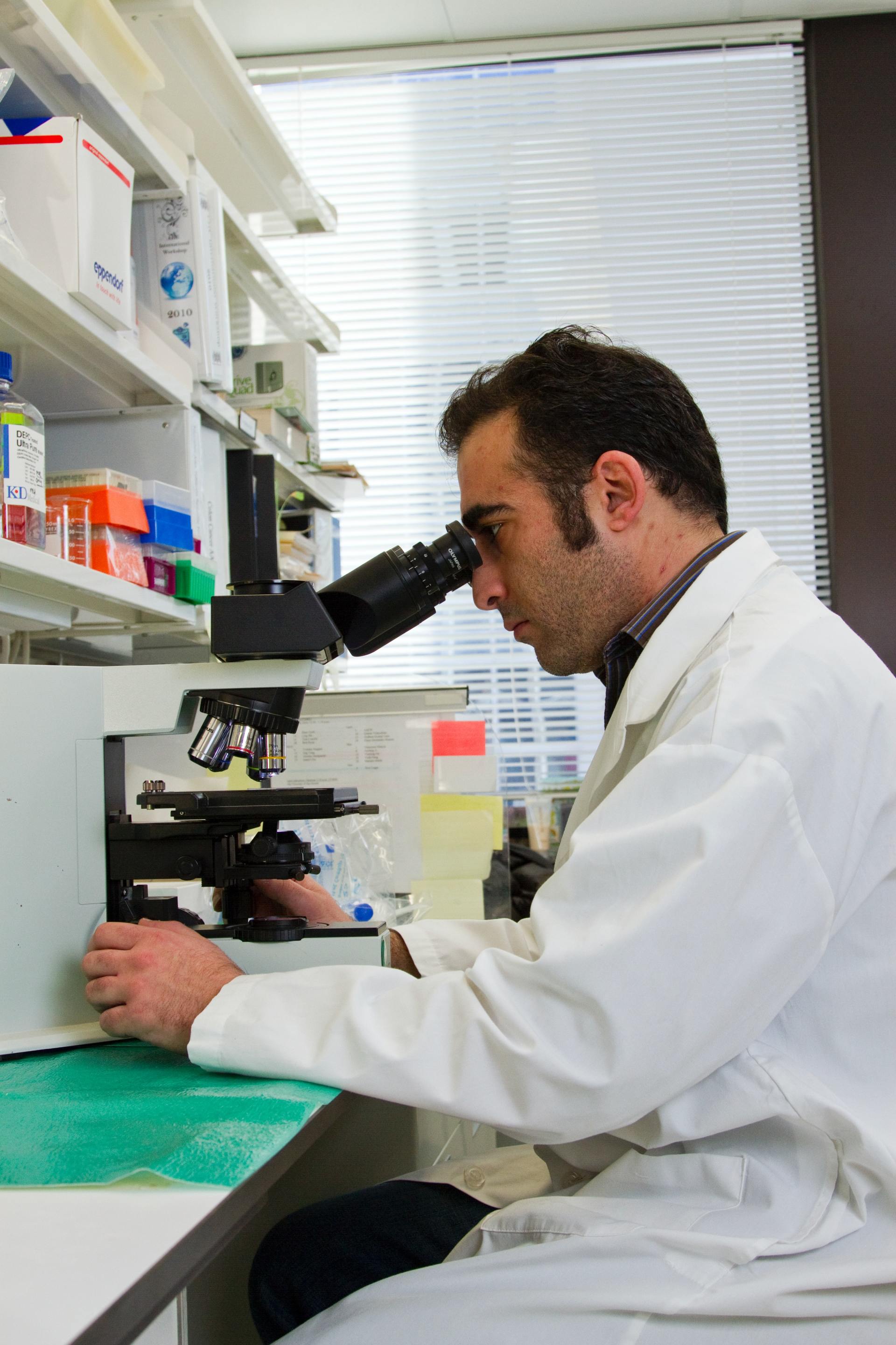 Consulenze e pest proofing