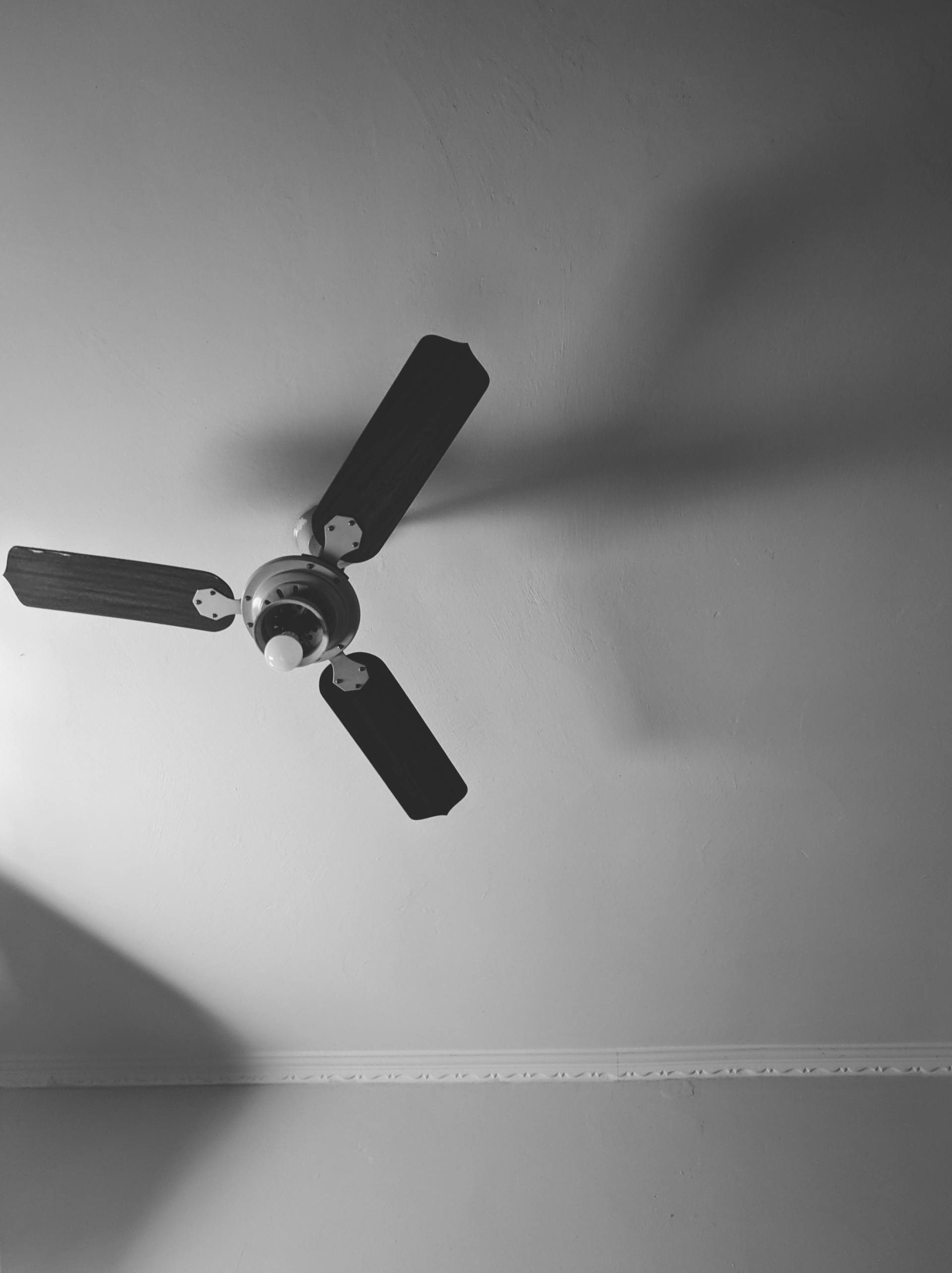 ceiling fan