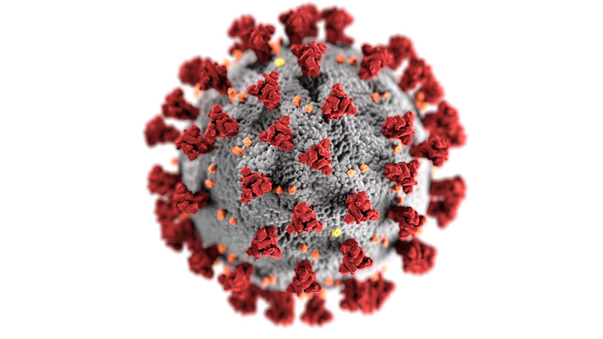 cellular level image of a virus
