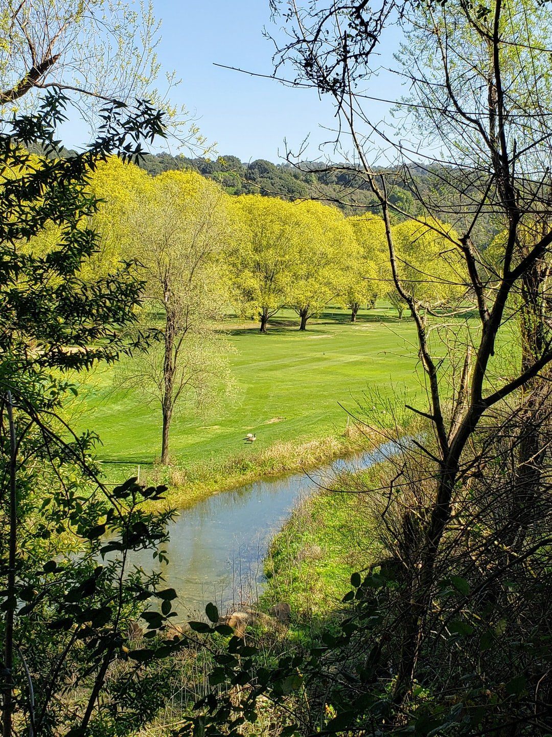 castro valley