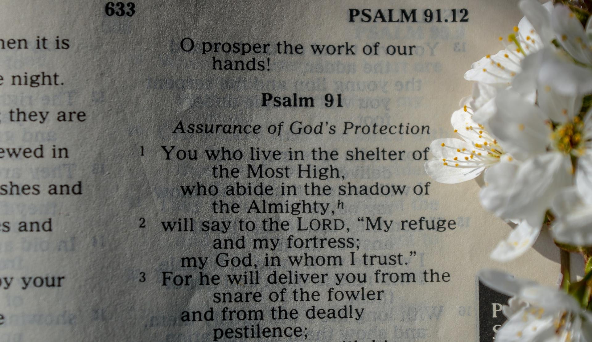 A page of a bible with psalm 91 on it