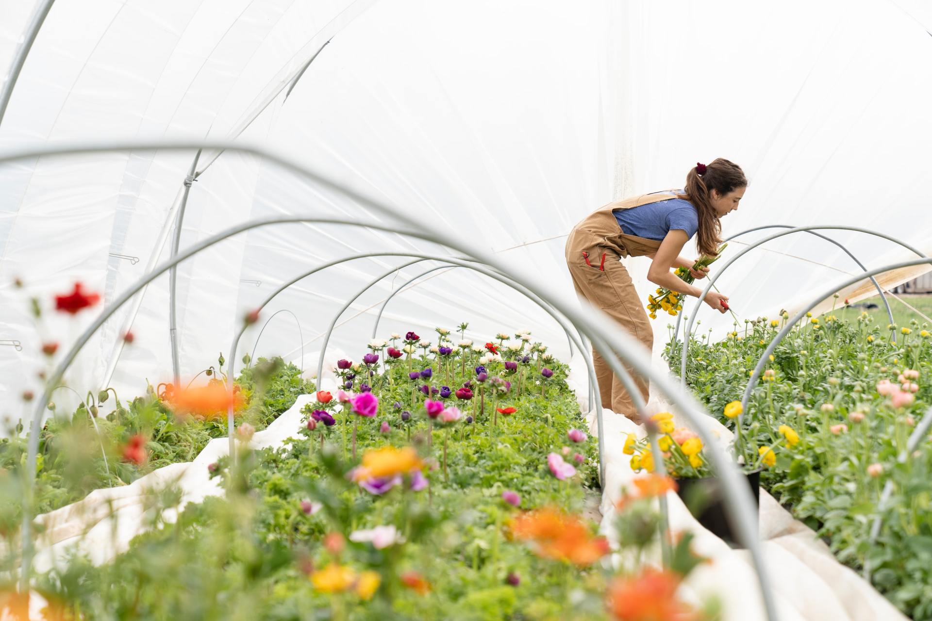 a woman is working in a greenhouse full of flowers