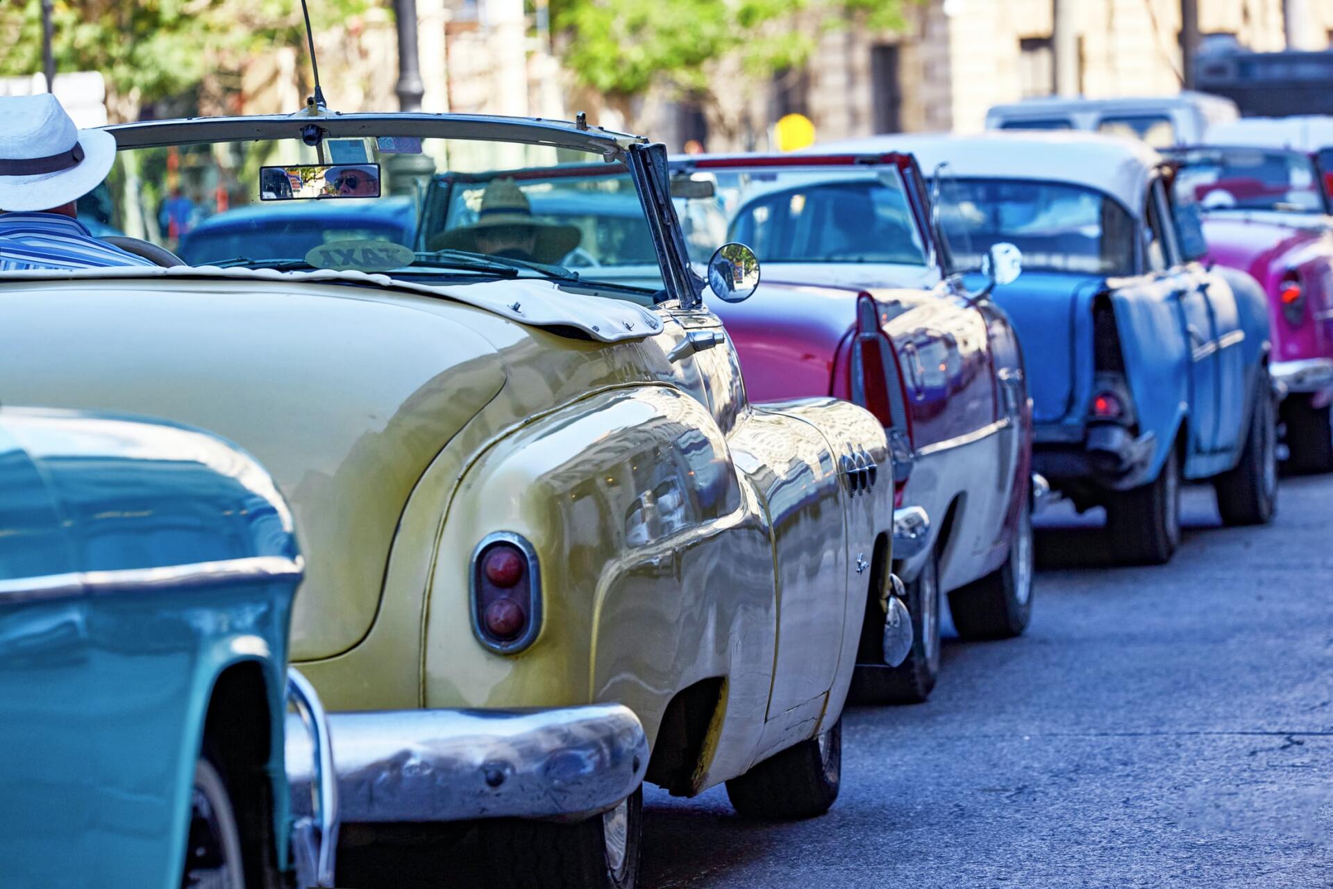 Classic Vehicles Lined Up