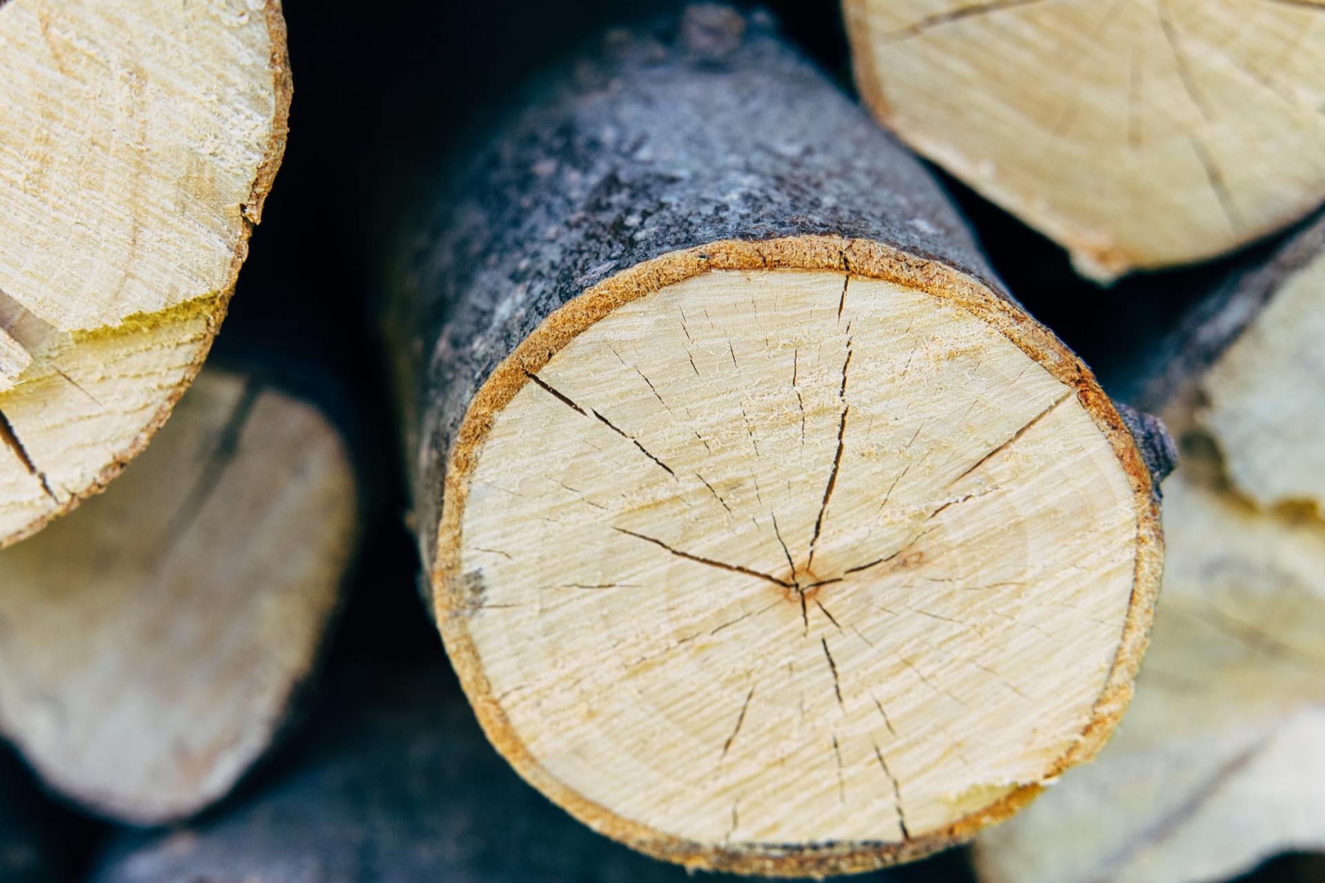 A close up of a pile of logs stacked on top of each other.