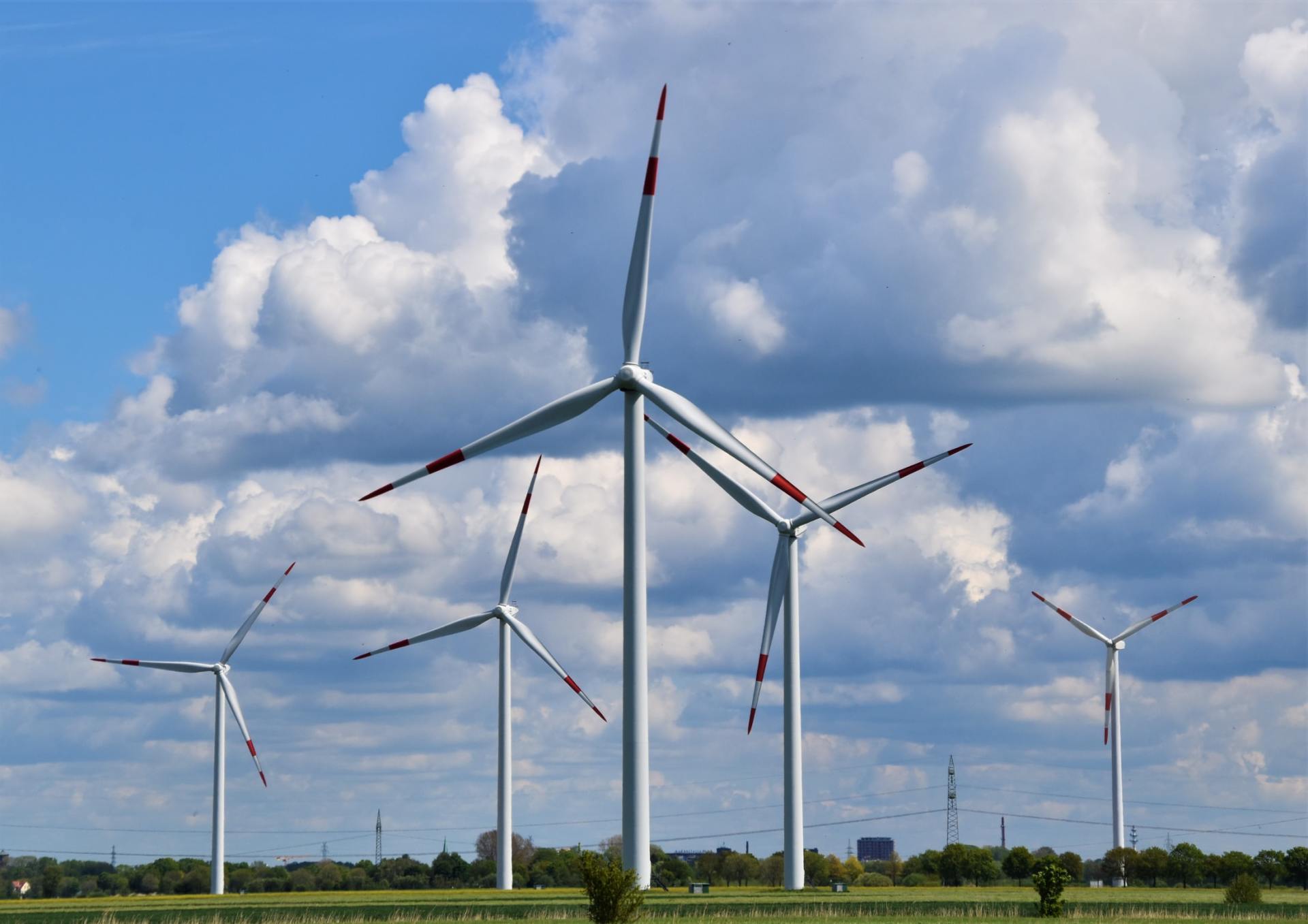 A group of wind turbines are sitting in a field.