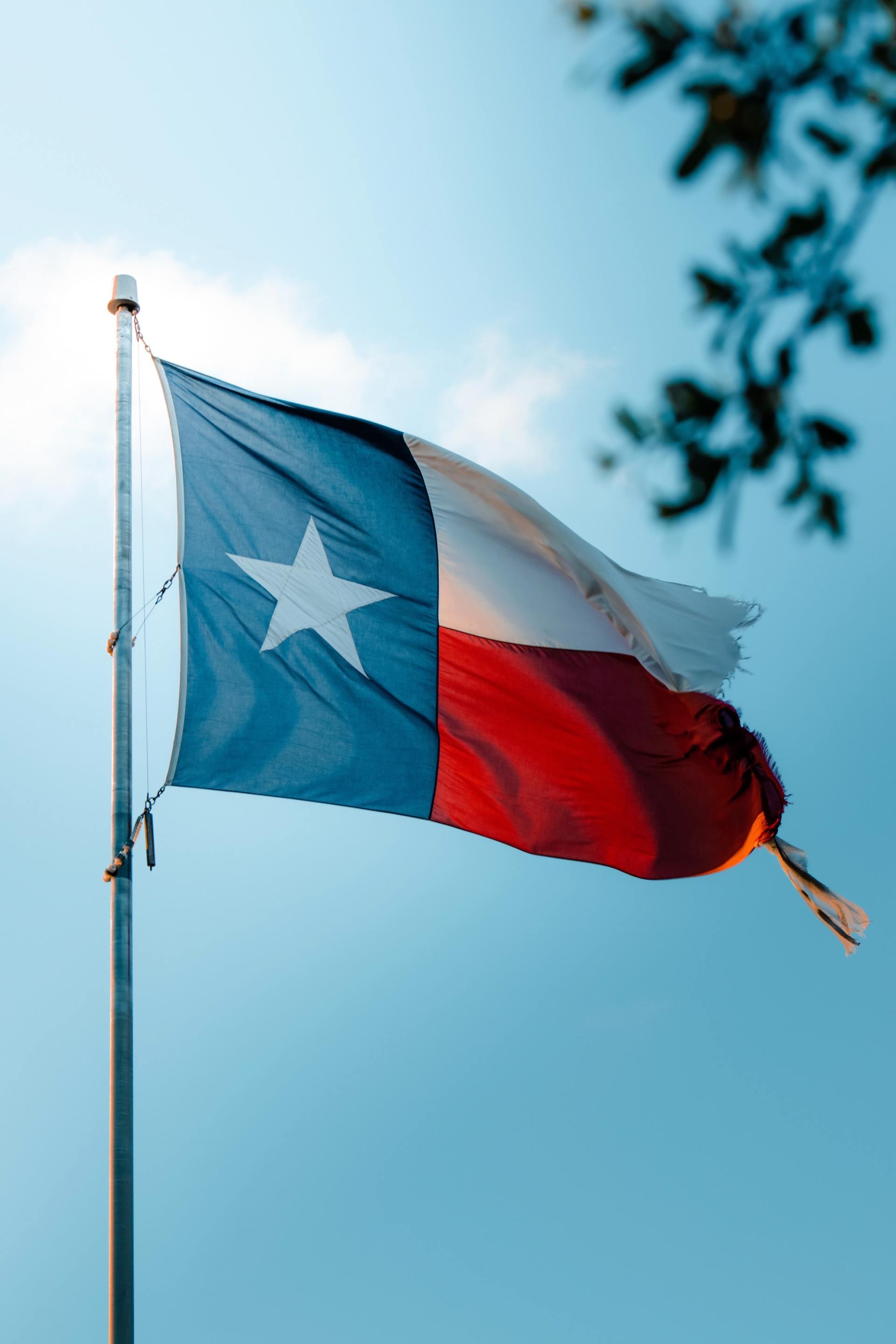 Texas Flag | Lone Star Gasket Inc | Custom Gaskets Available in Midland, TX