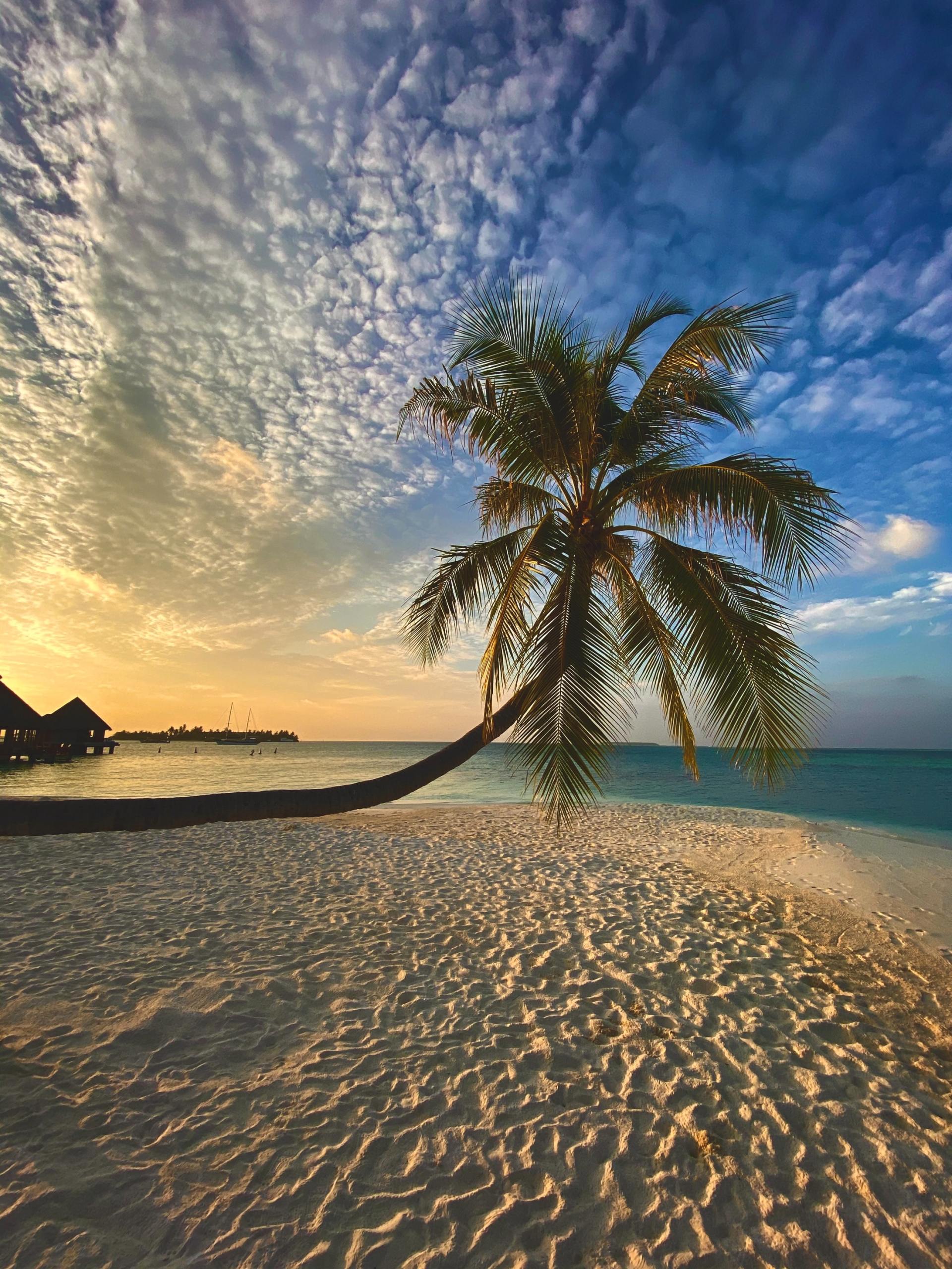 Les Maldives
